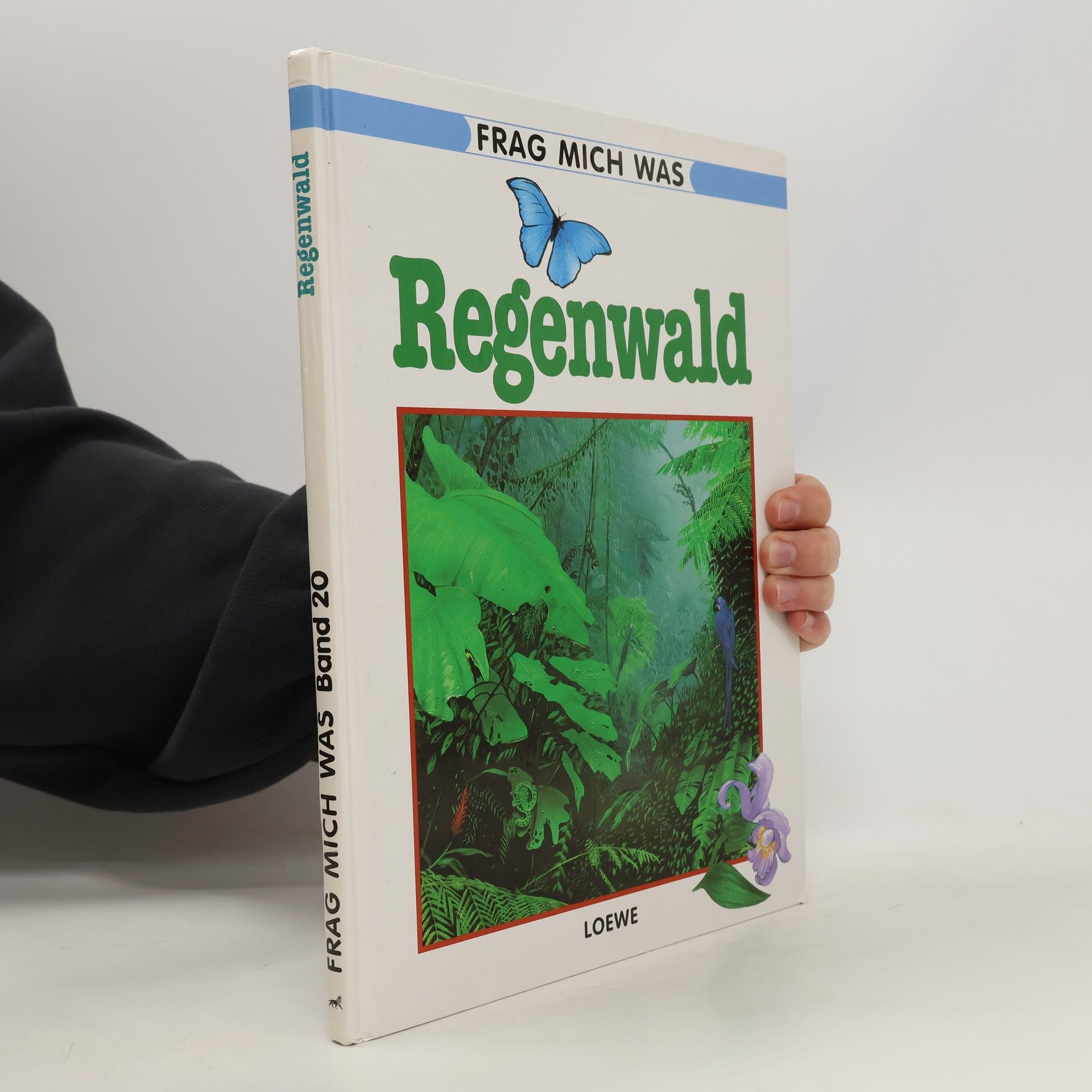 Margot Hellmiß Regenwald