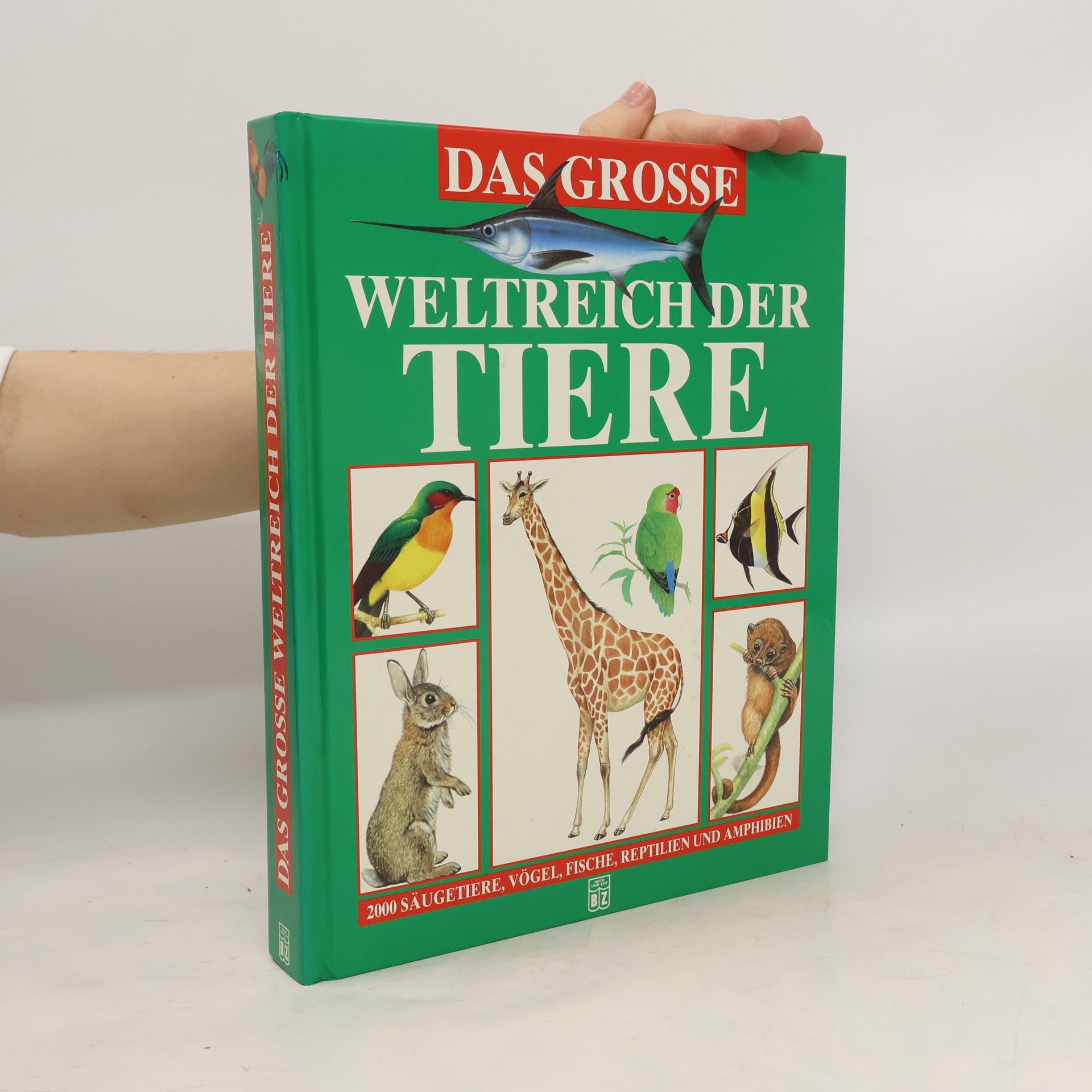 Autorenkollektiv Das grosse Weltreich der Tiere