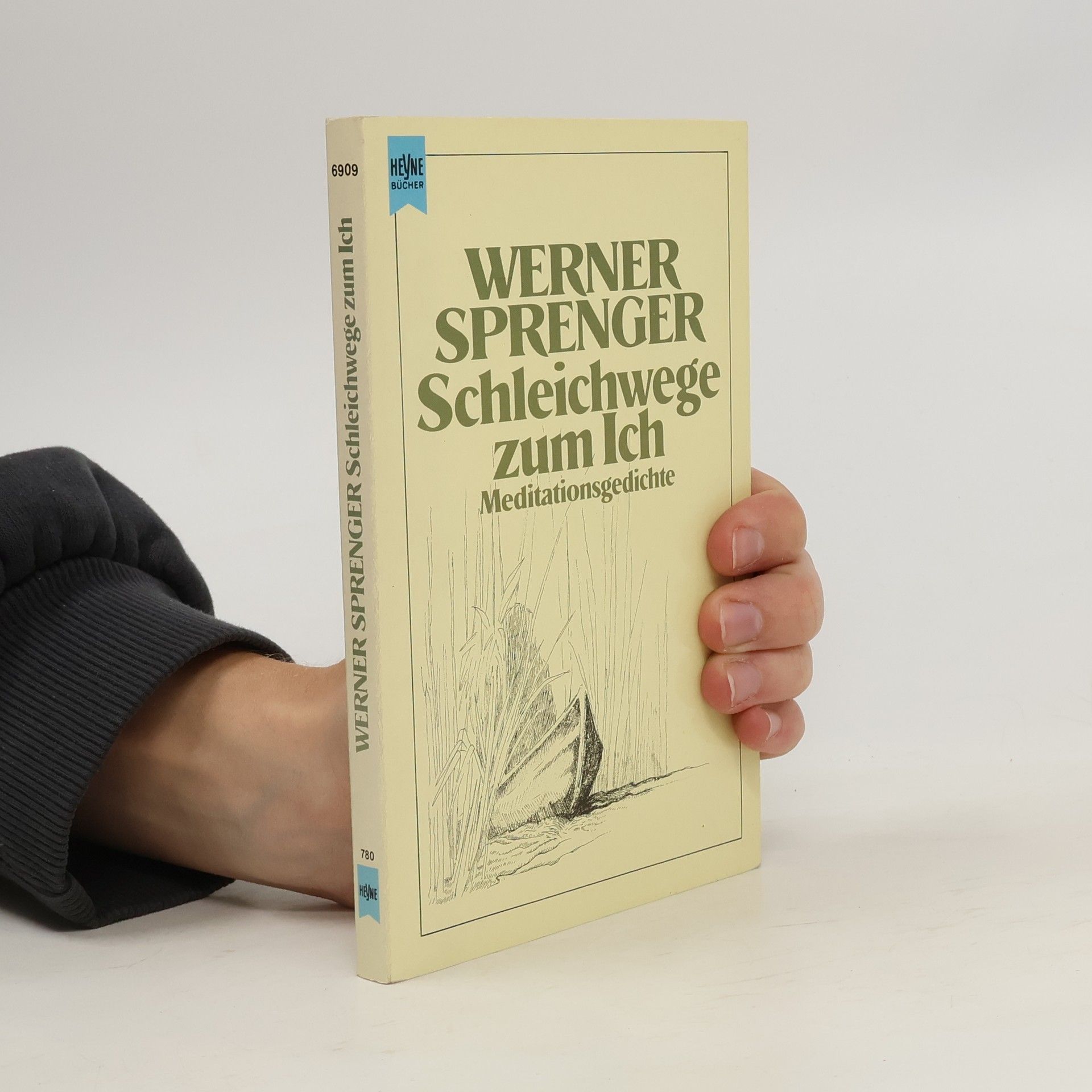 Werner Sprenger Schleichwege zum Ich