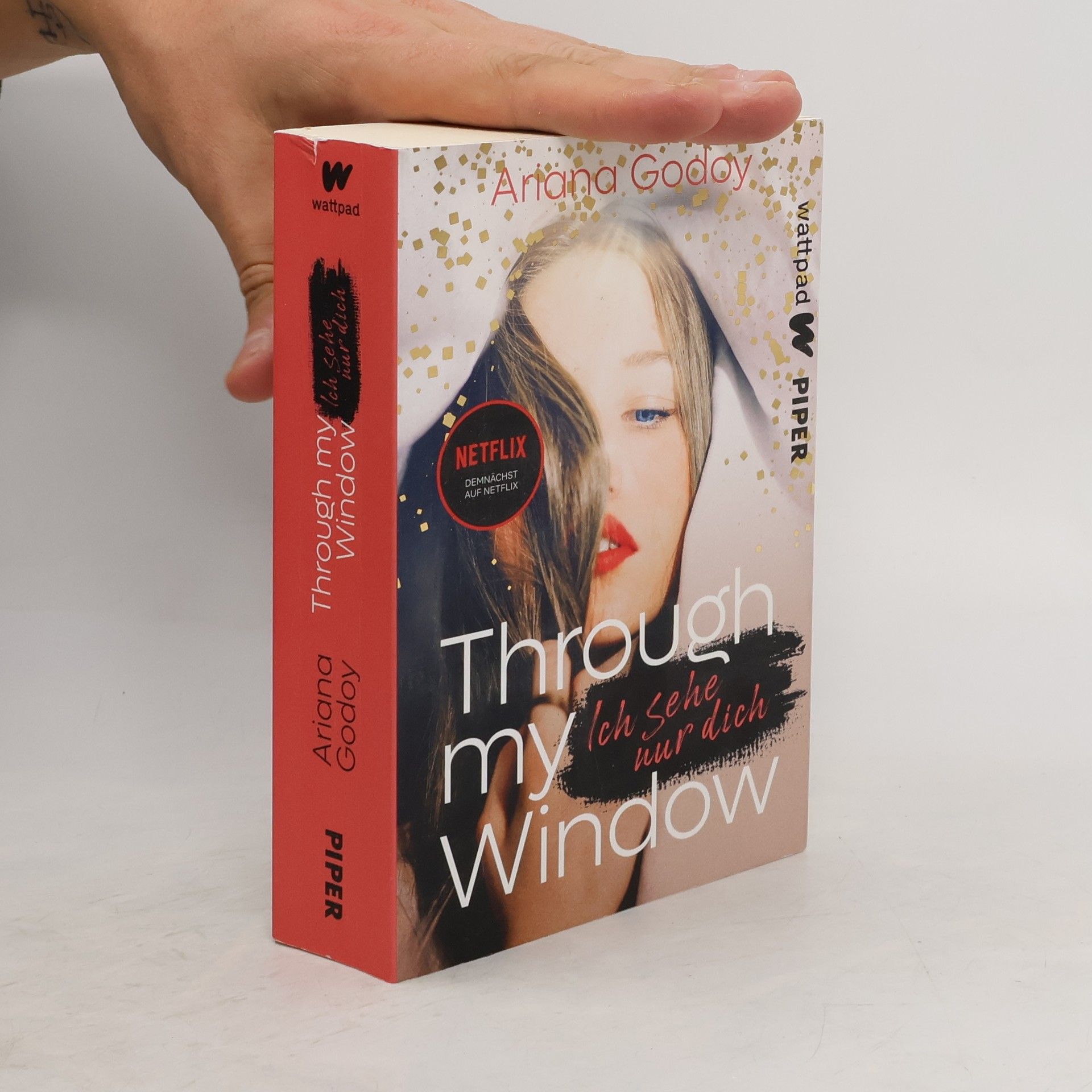 Ariana Godoy Through my Window. Ich sehe nur dich