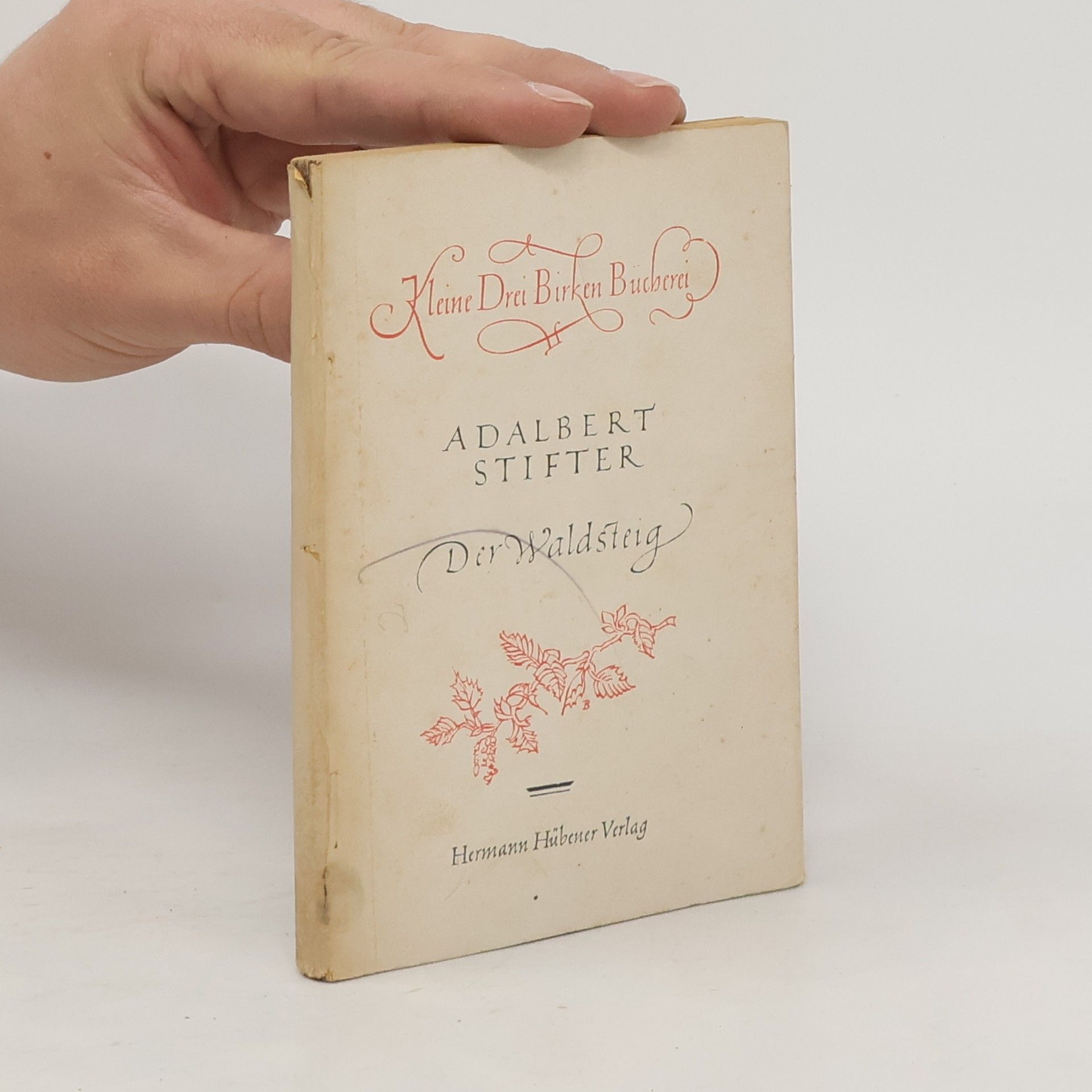 Adalbert Stifter Der Waldsteig