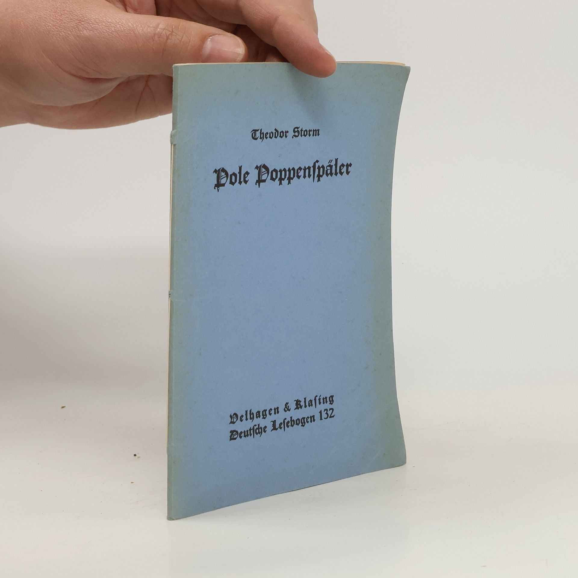 Theodor Storm Pole Poppenspäler