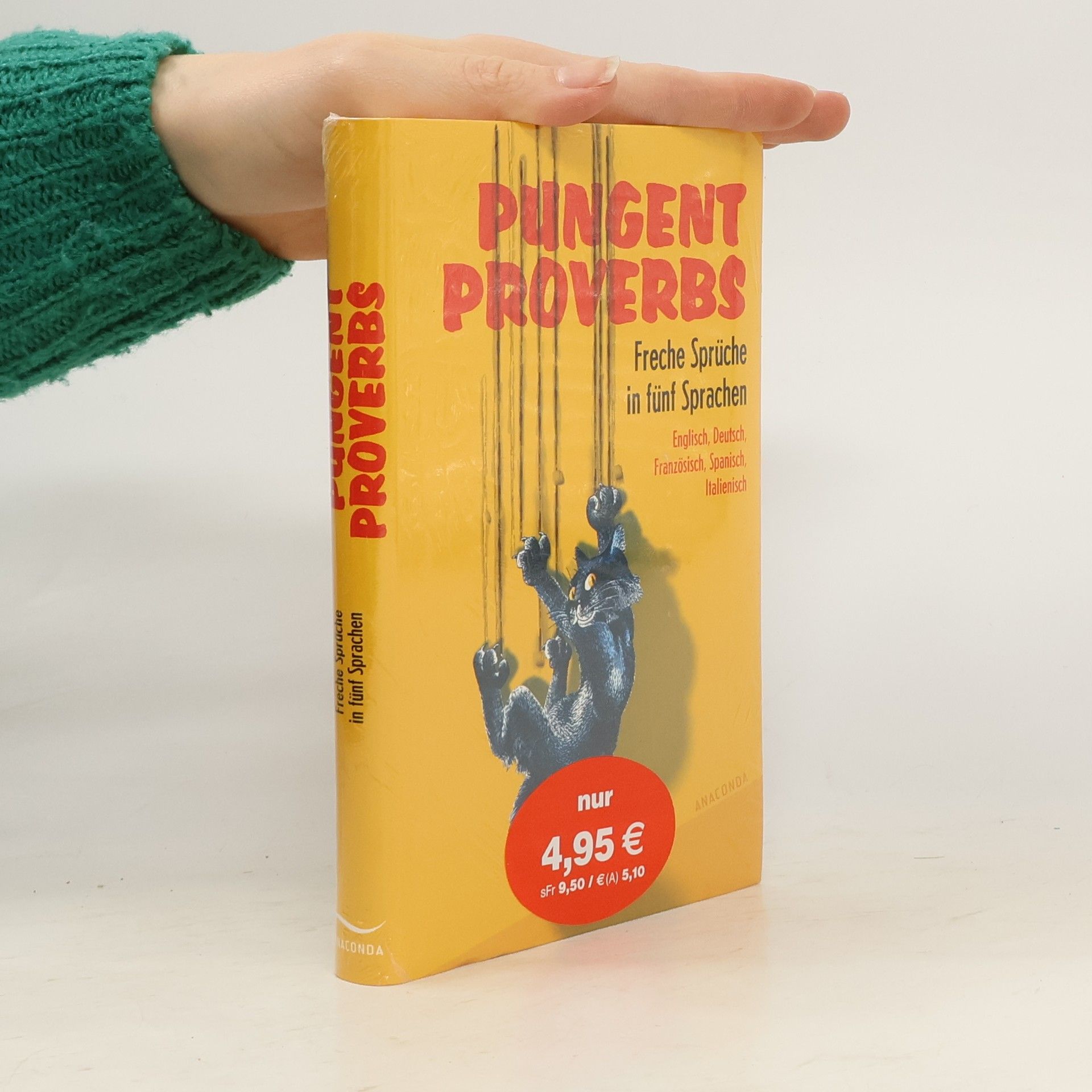 Silvia Mondini Pungent Proverbs