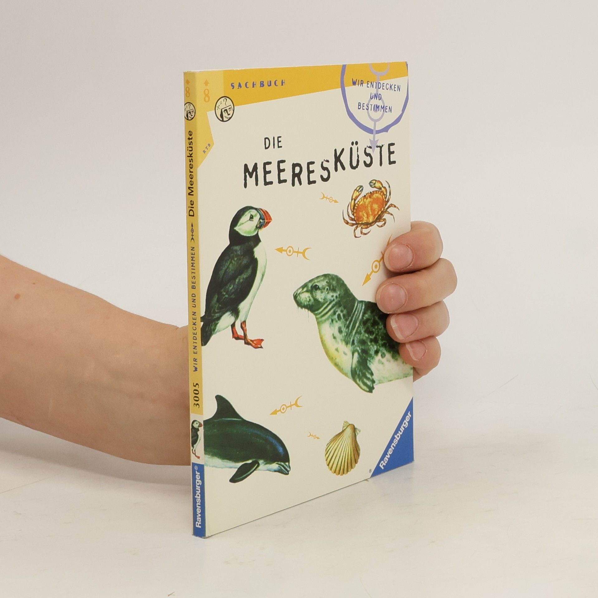 Autores varios Die Meeresküste