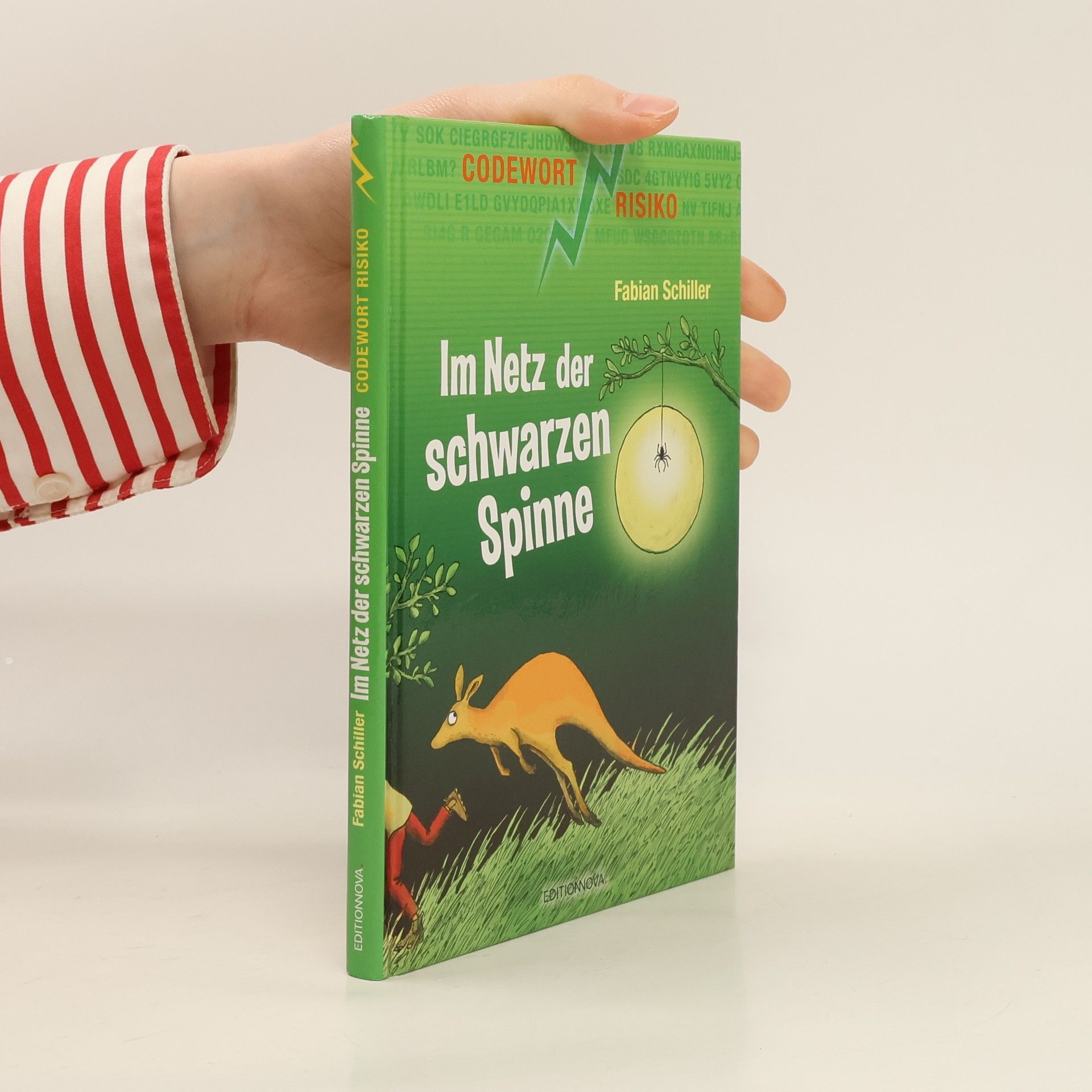 Fabian Schiller Im Netz der schwarzen Spinne