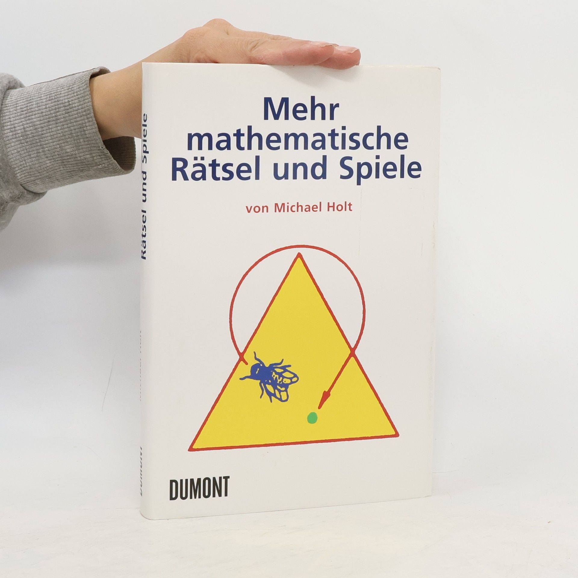 Michael Holt Mehr mathematische Rätsel und Spiele