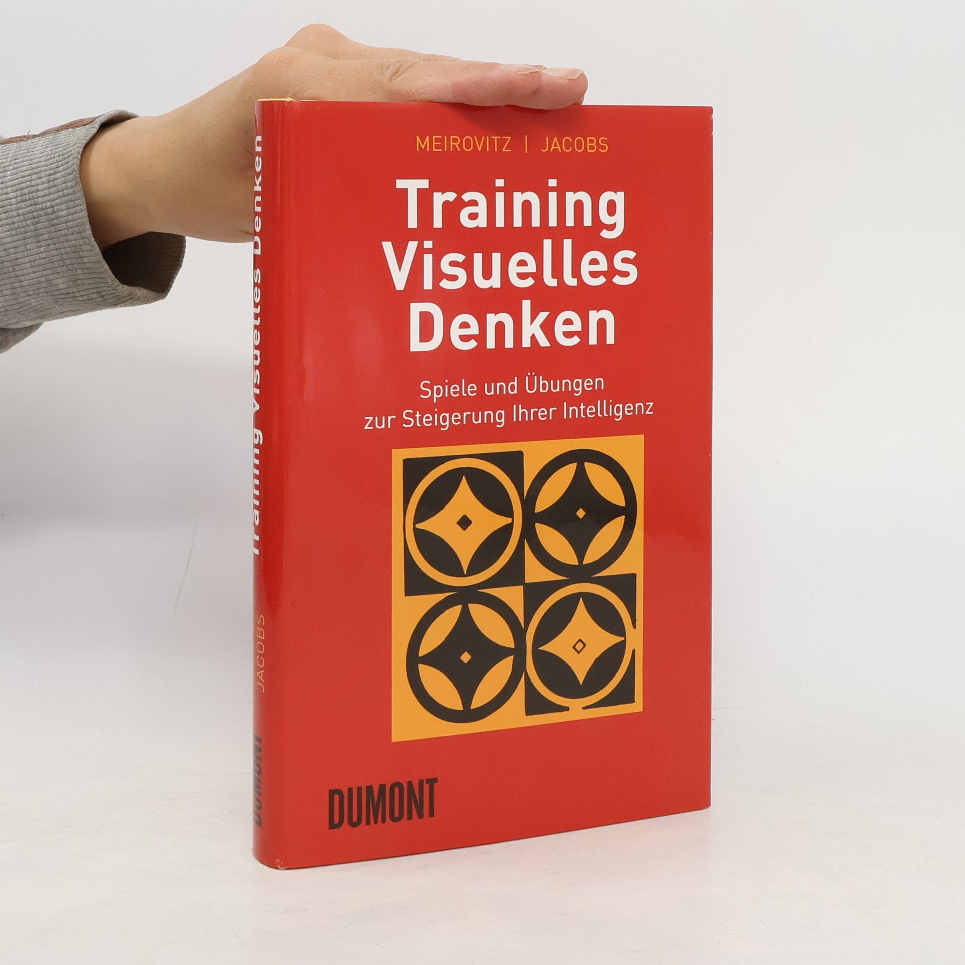 Marco Meirovitz Training visuelles Denken