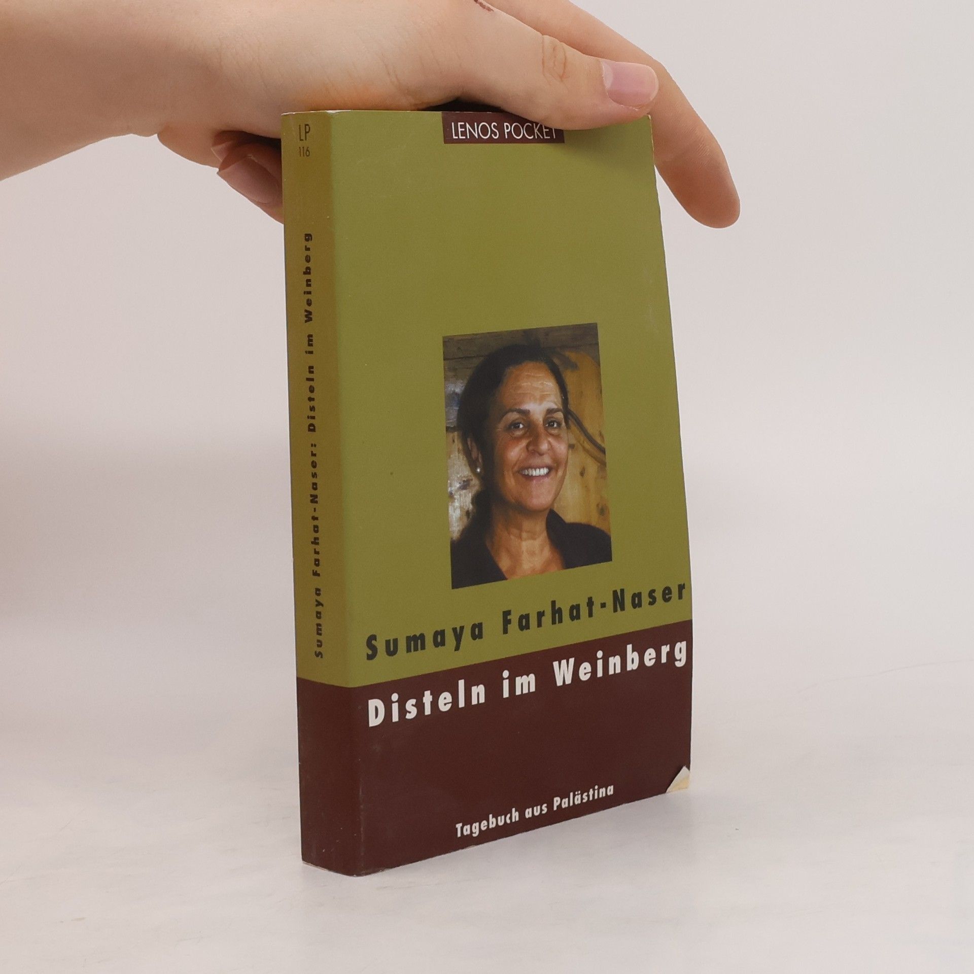 Sumaya Farhat Naser Disteln im Weinberg