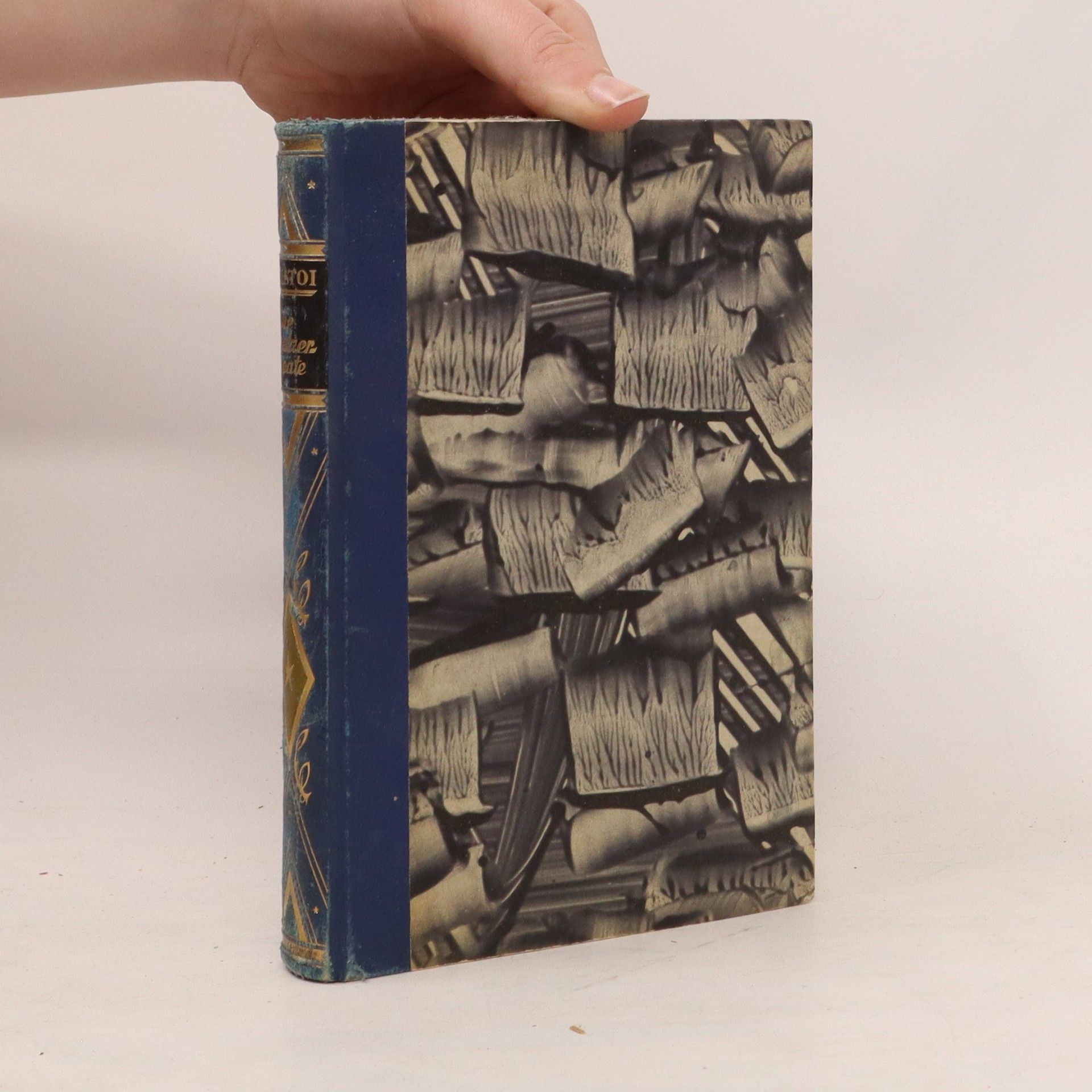 León Tolstói Kreutzer-Sonate und andere Novellen