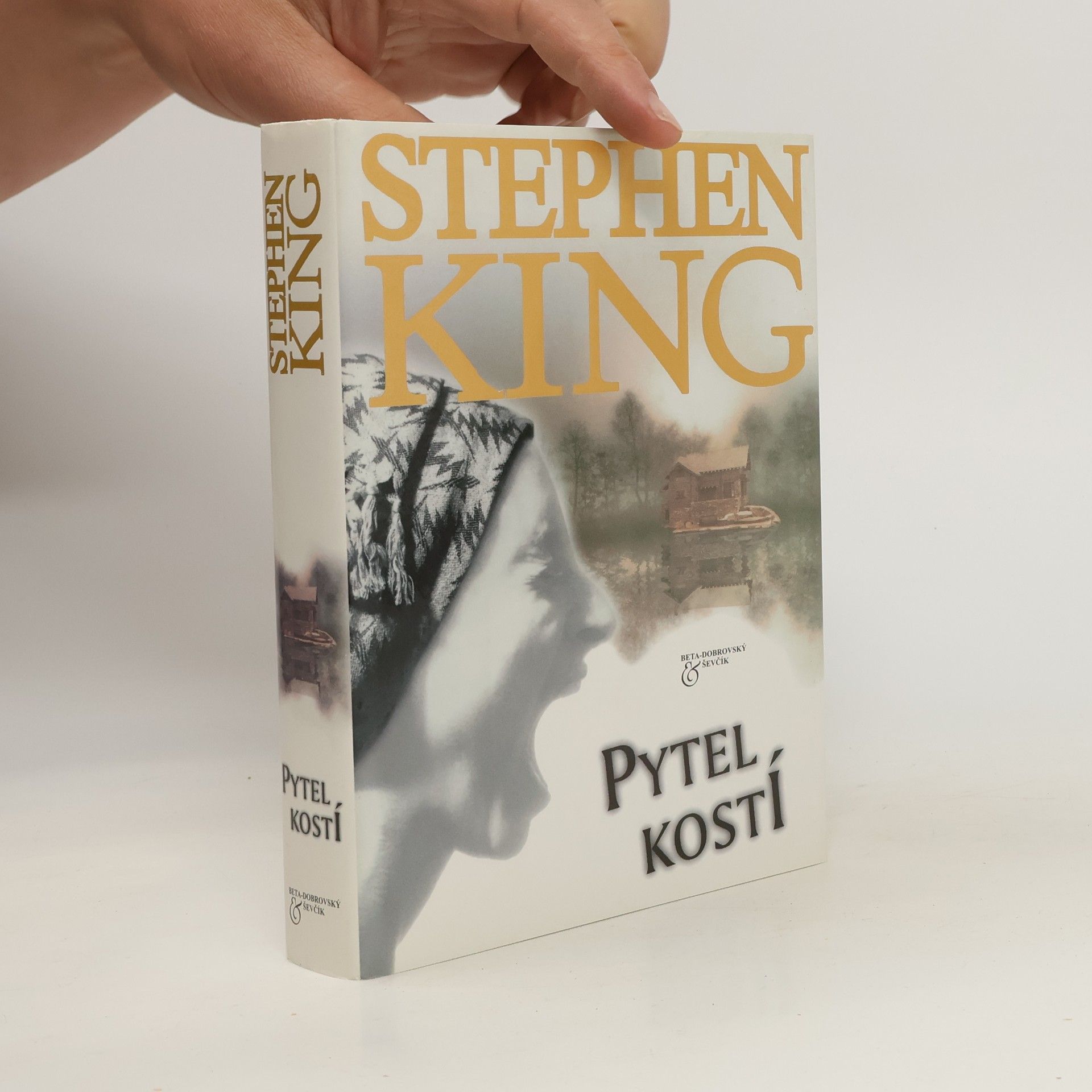 Stephen King Pytel kostí