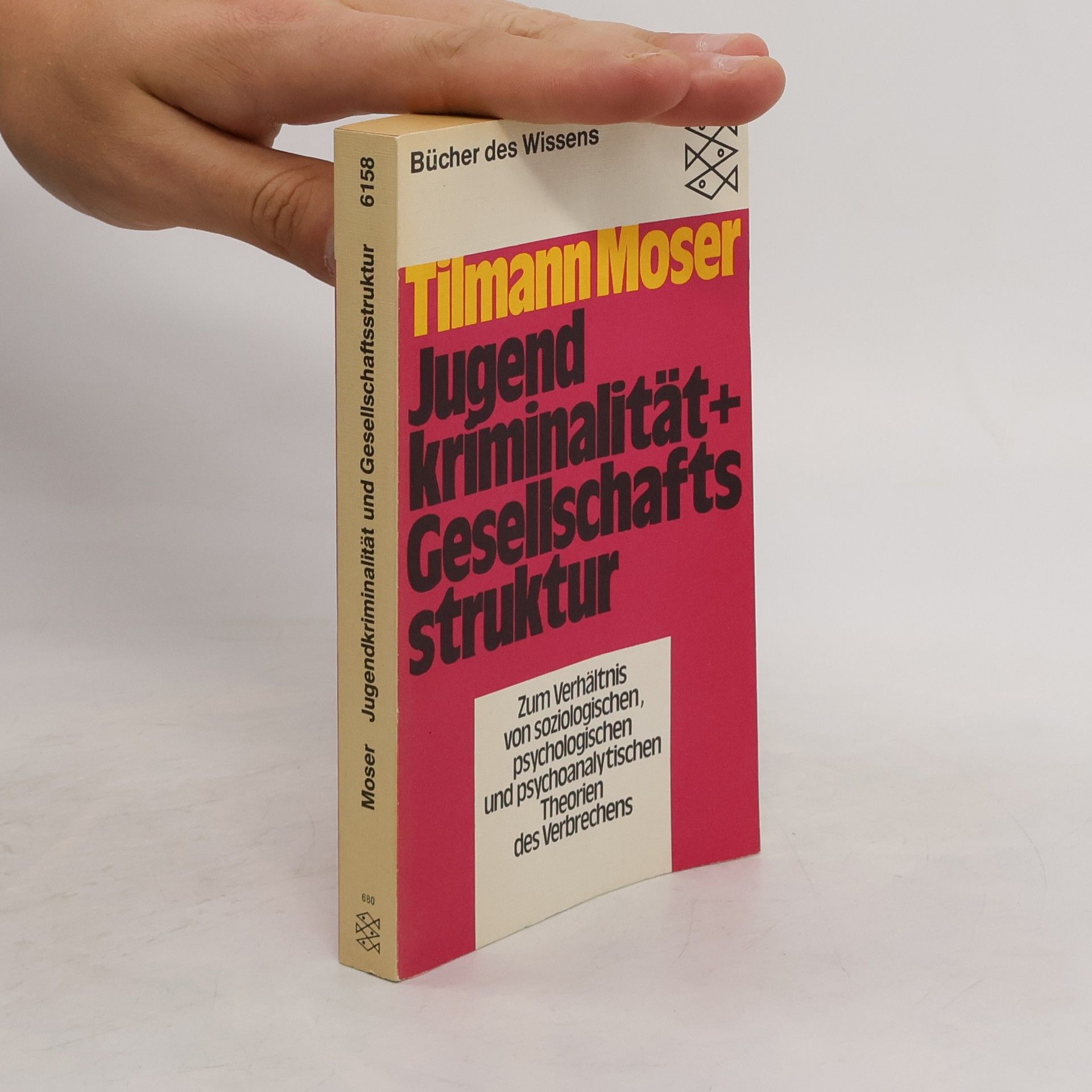 Tilmann Moser Jugendkriminalität und Gesellschaftsstruktur
