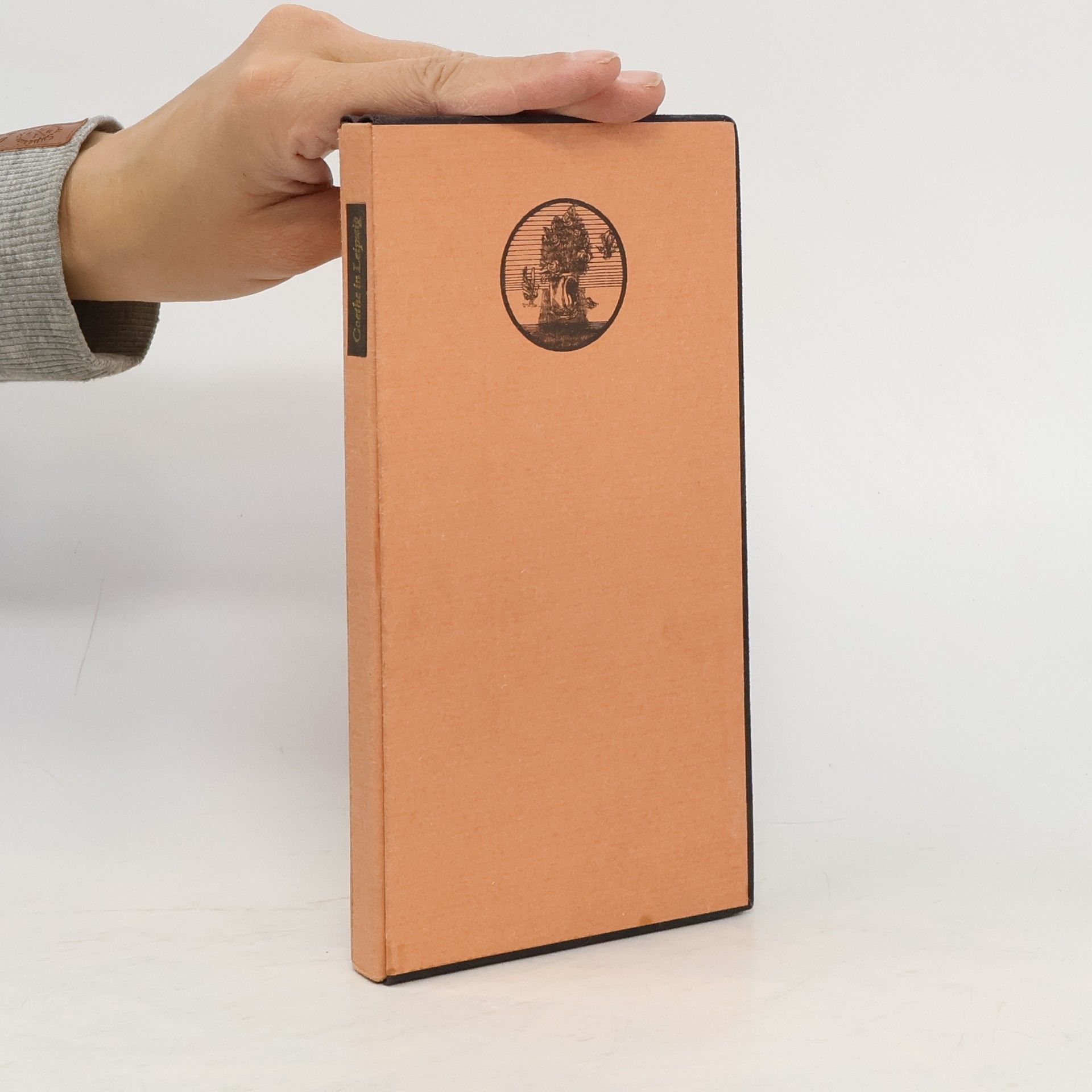 Johann Wolfgang von Goethe Goethe in Leipzig 1765-1768. Bruchstücke einer Konfession. Dokumentiert in Briefen und Selstzeugnissen