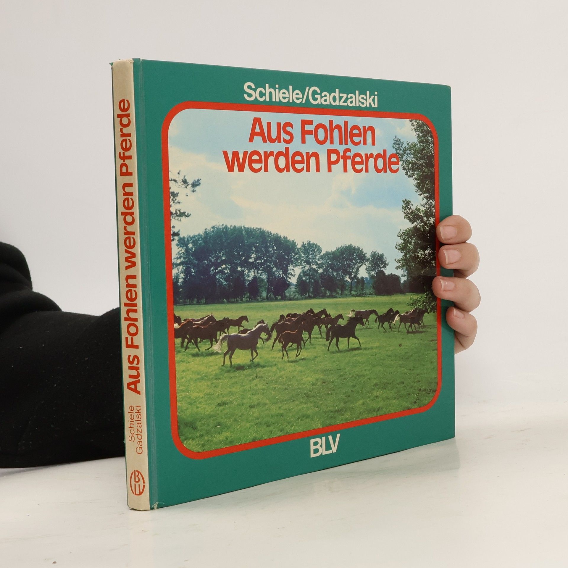 Erika Schiele Aus Fohlen werden Pferde