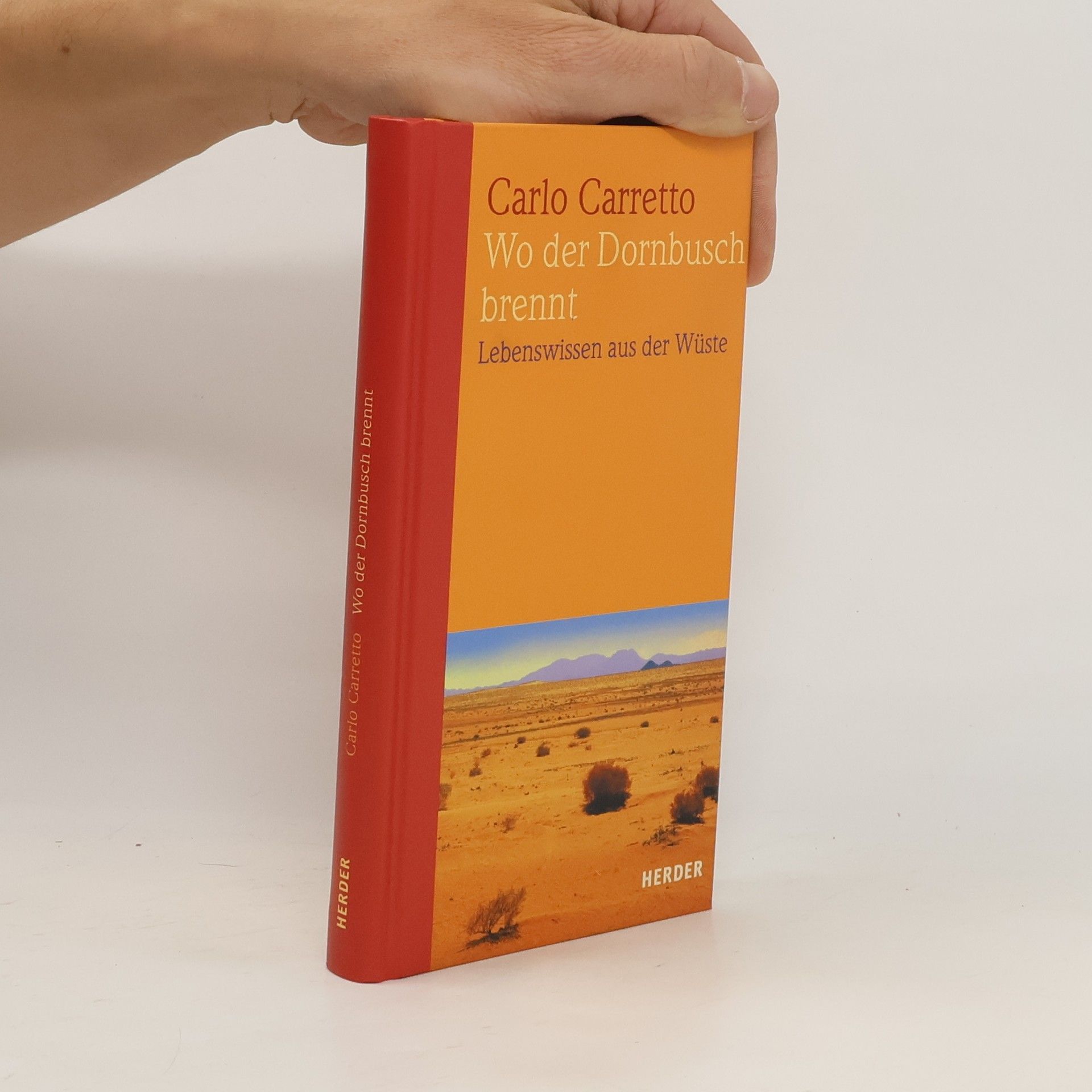 Carlo Carretto Wo der Dornbusch brennt. Lebenswissen aus der Wüste