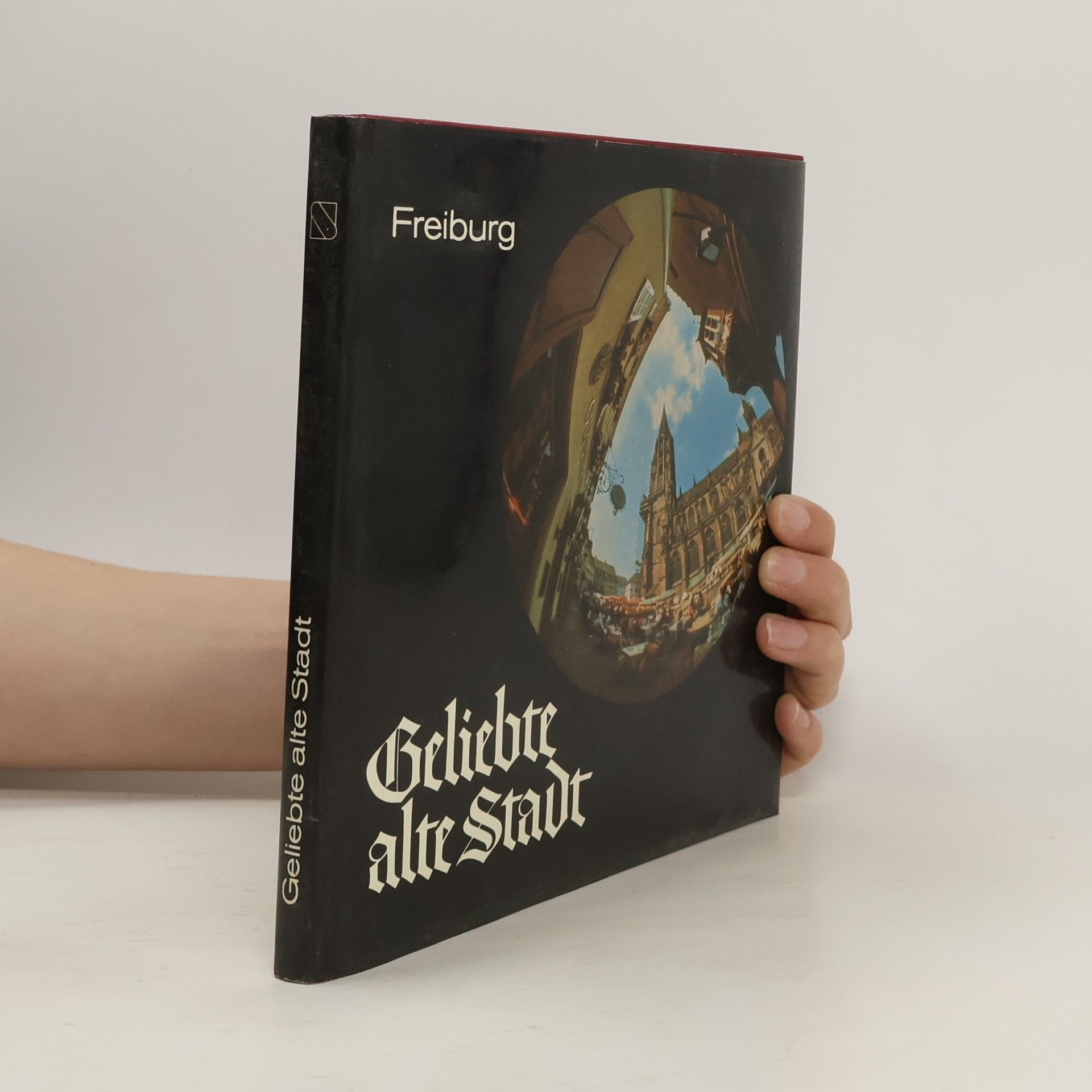Leif Geiges Geliebte alte Stadt