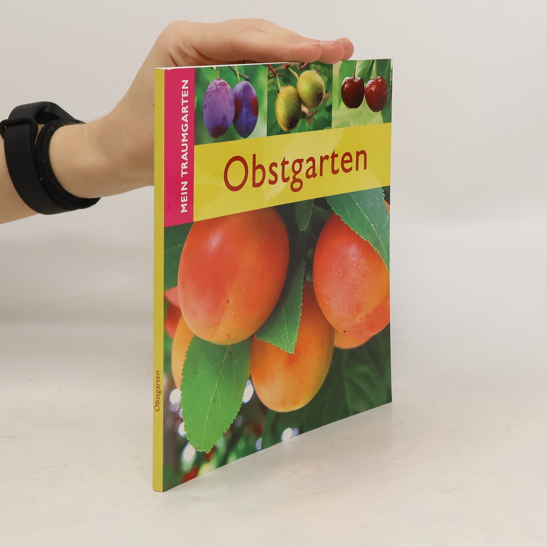 Autorenkollektiv Obstgarten