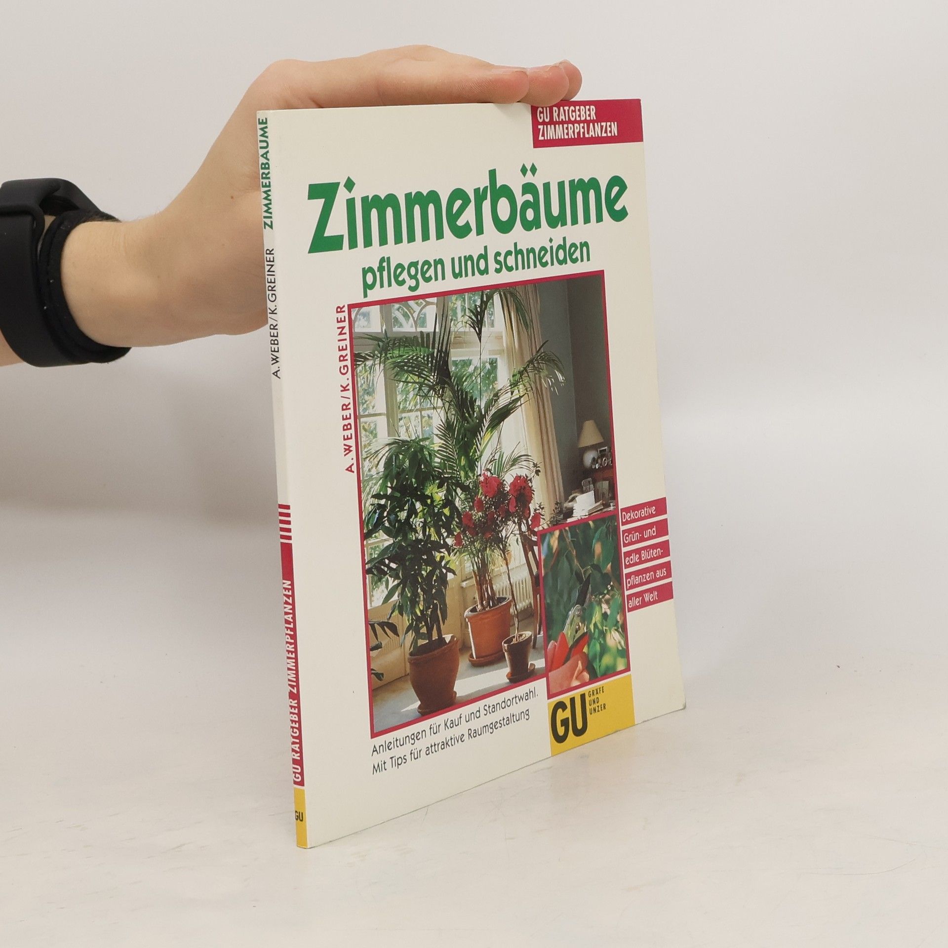 Angelika Weber Zimmerbäume pflegen und schneiden