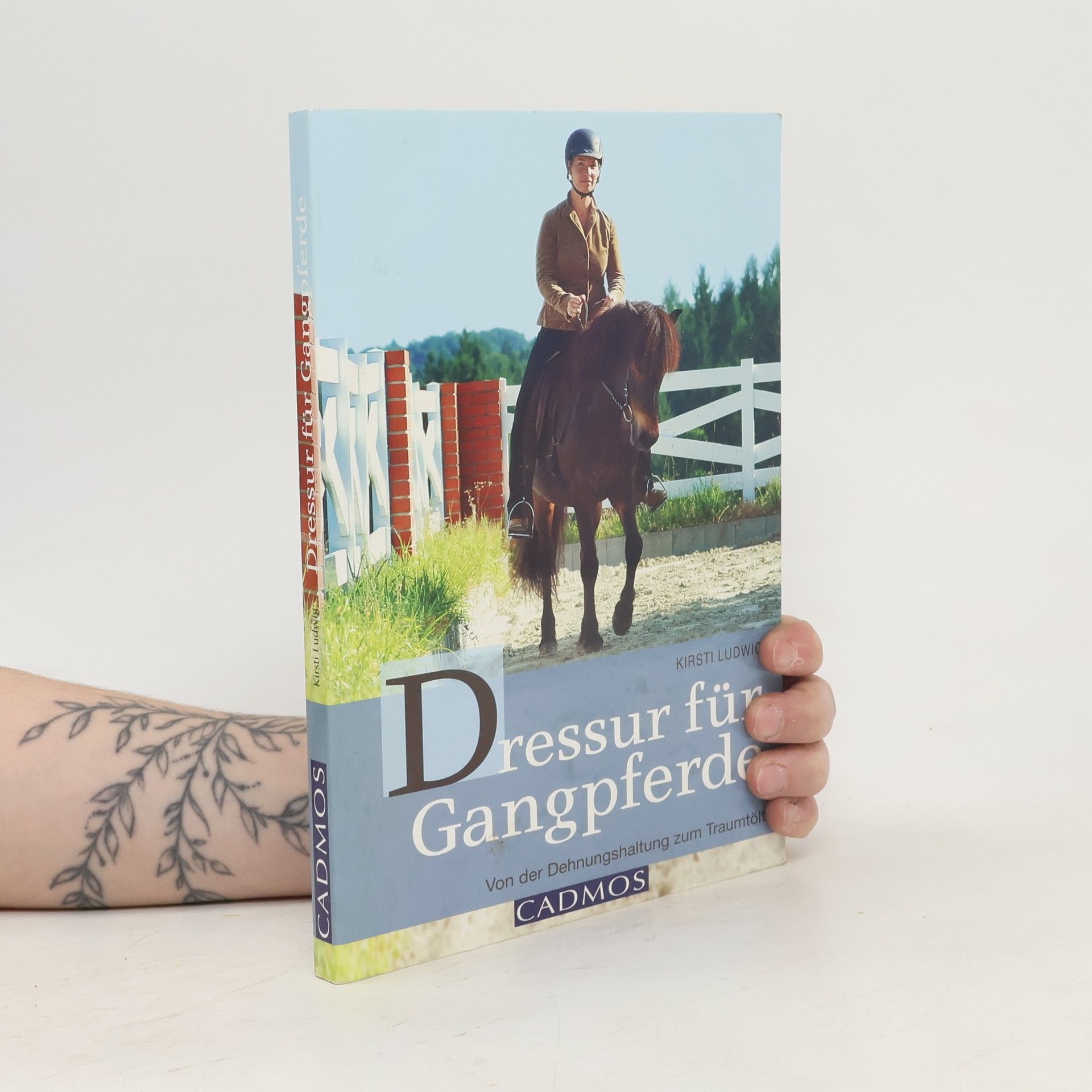 Kirsti Ludwig Dressur für Gangpferde