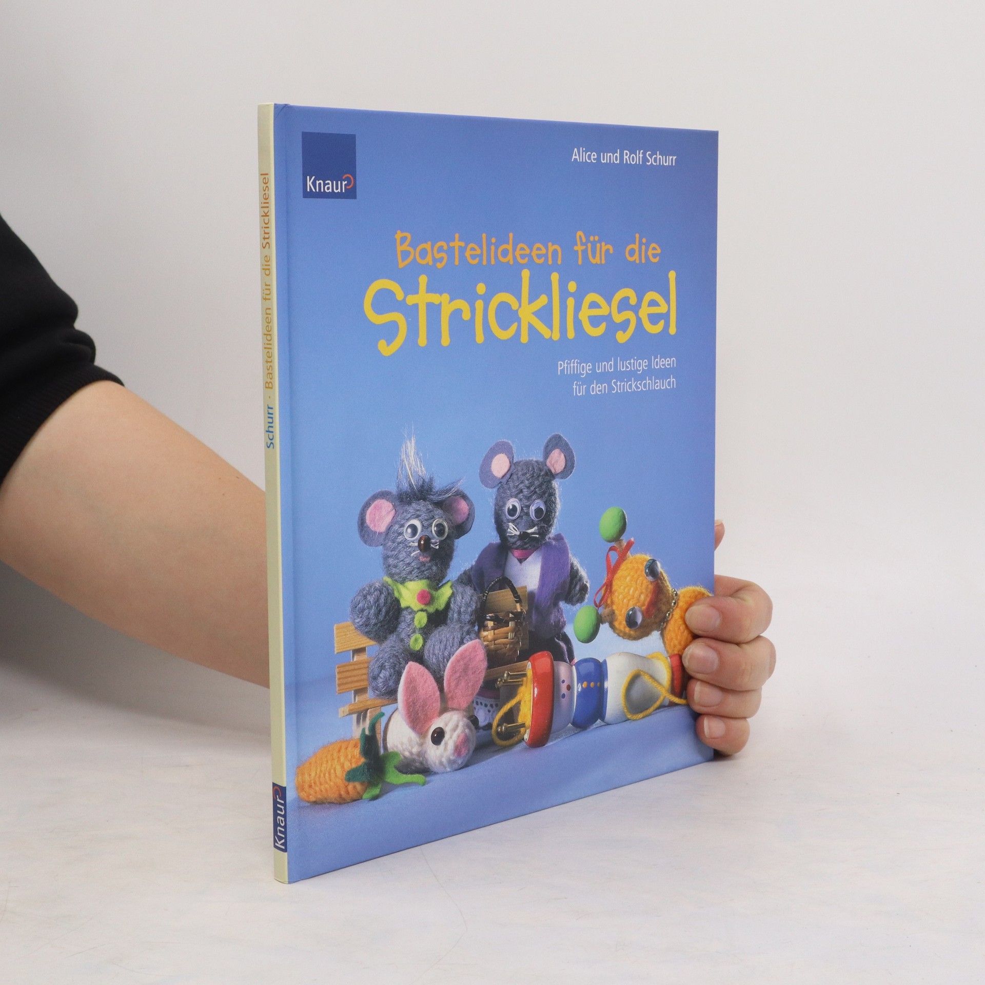 Alice Schurr Bastelideen für die Strickliesel
