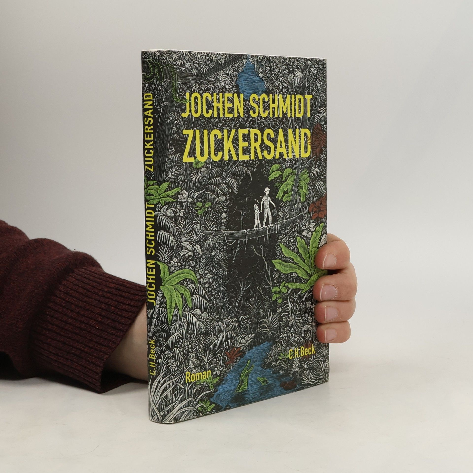 Jochen Schmidt-Liebich Zuckersand
