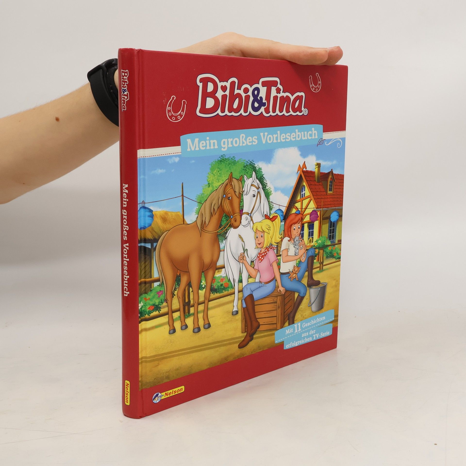 Autorenkollektiv Bibi und Tina - mein großes Vorlesebuch