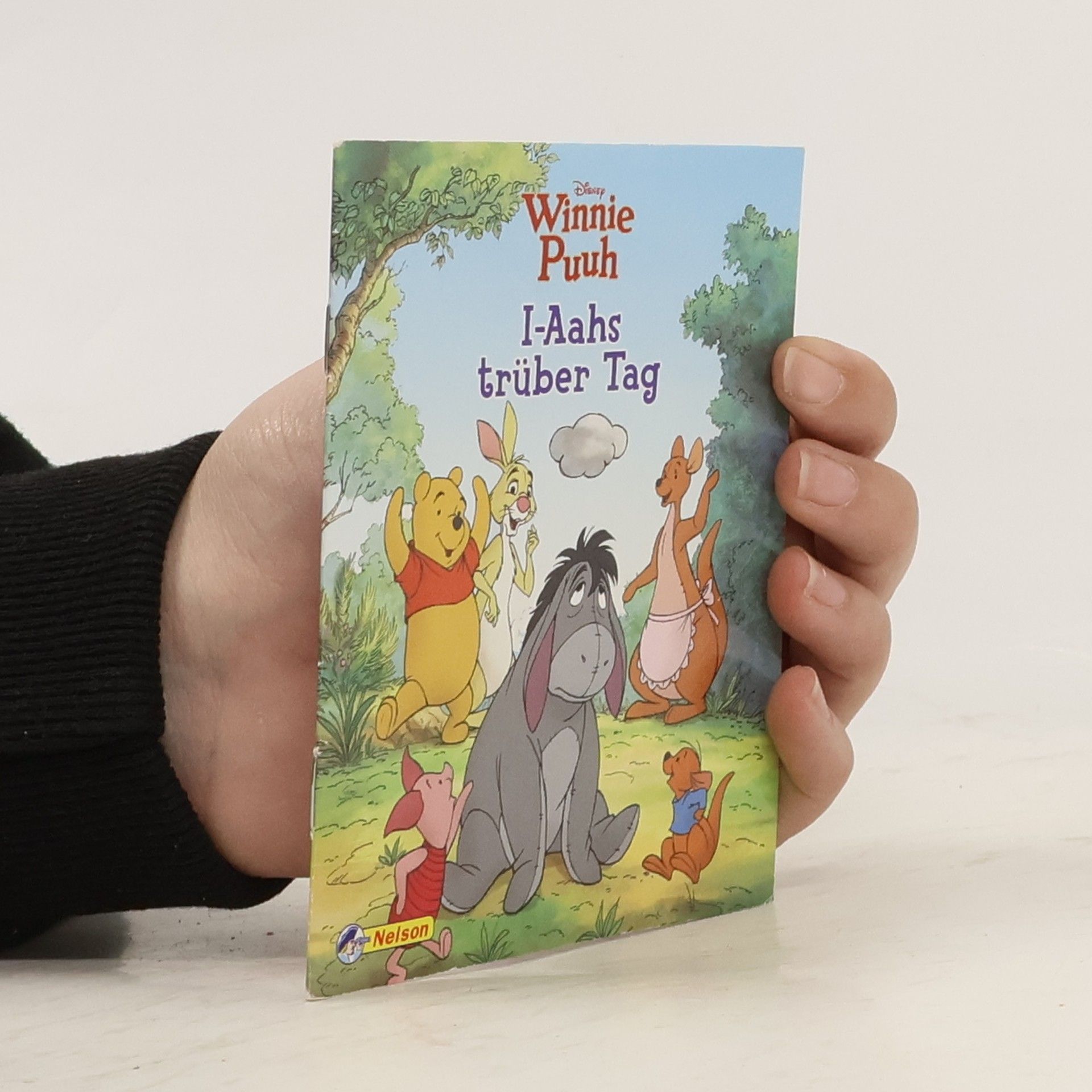 AA.VV. Winnie Puuh. I-Aahs trüber Tag