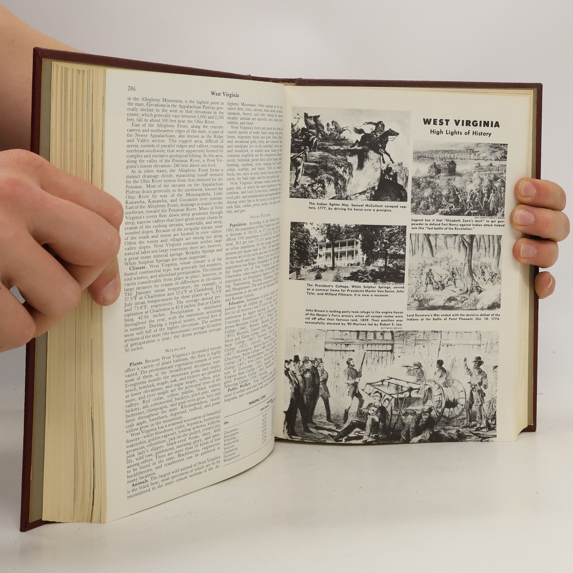 Autorenkollektiv The American Peoples Encyclopedia 19. Uruguay To Zyzzyva