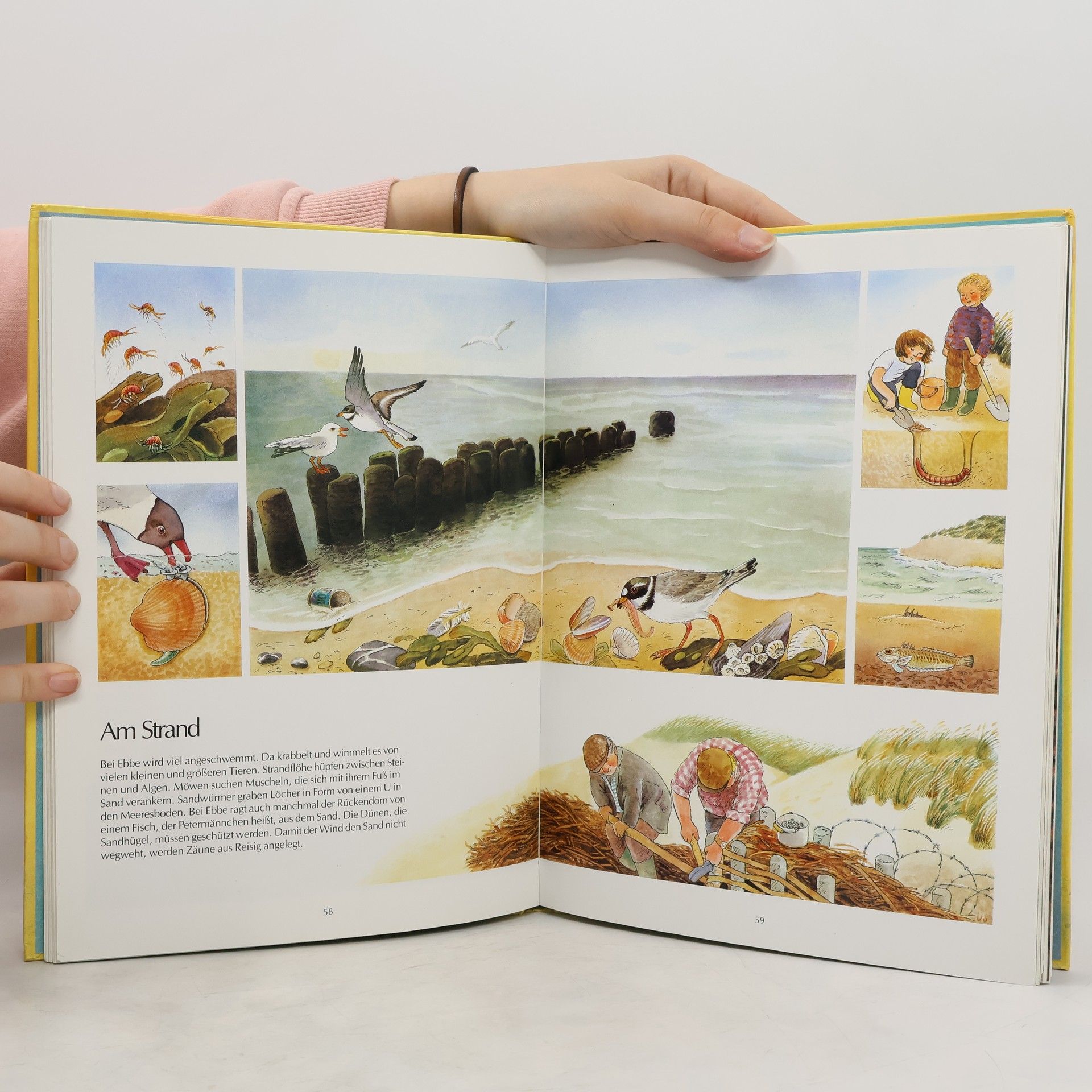 Autores varios Jahrbuch für Kinder 1990