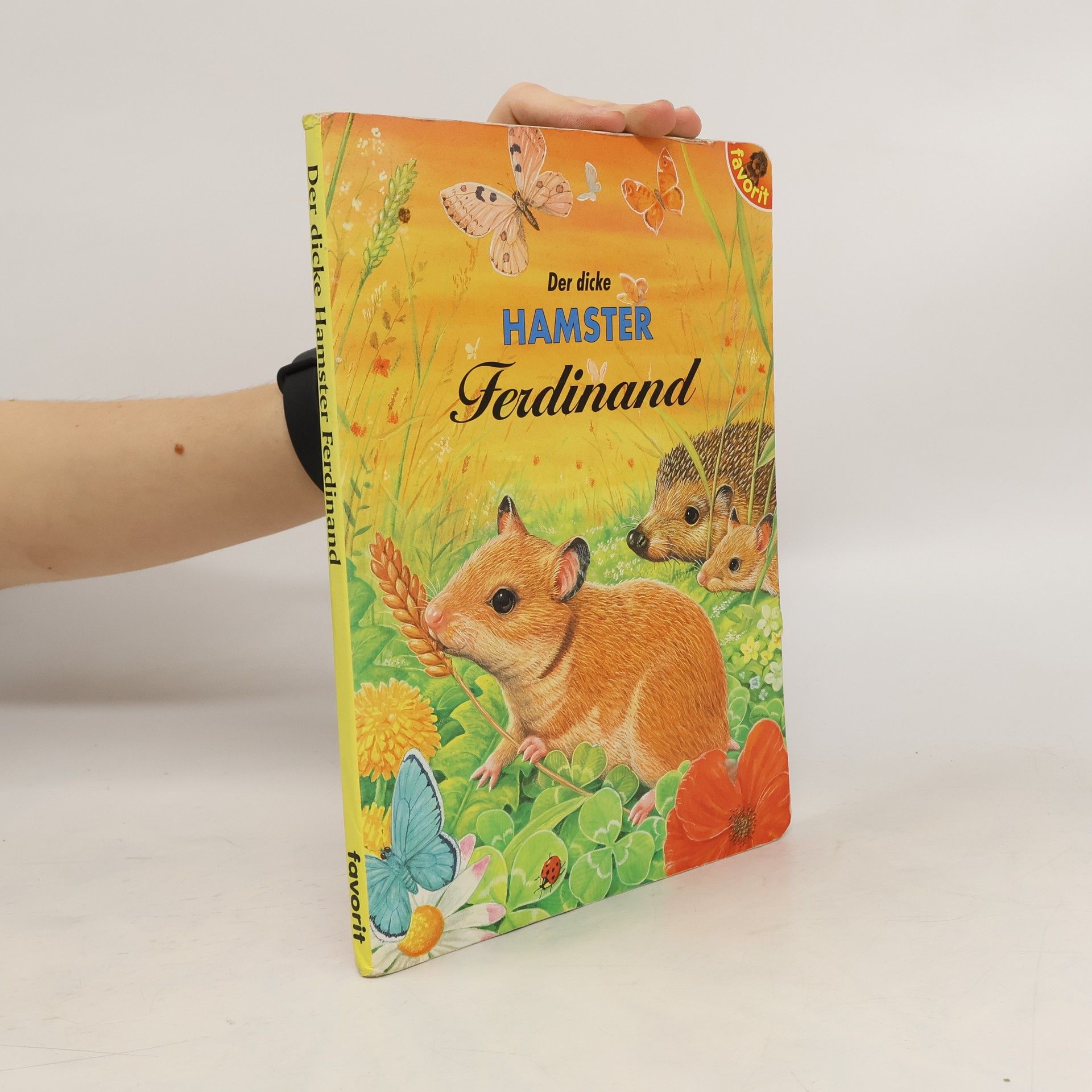 Günter Neidinger Der dicke Hamster Ferdinand