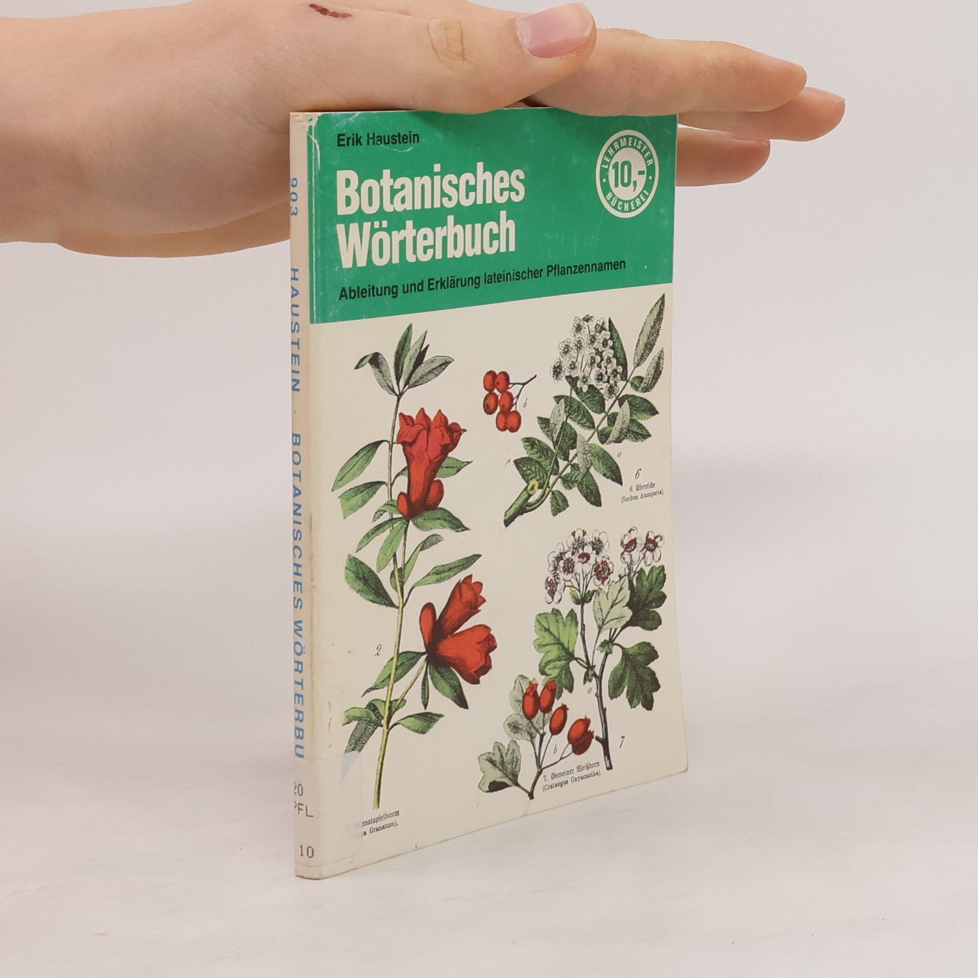 Erik Haustein Botanisches Wörterbuch.