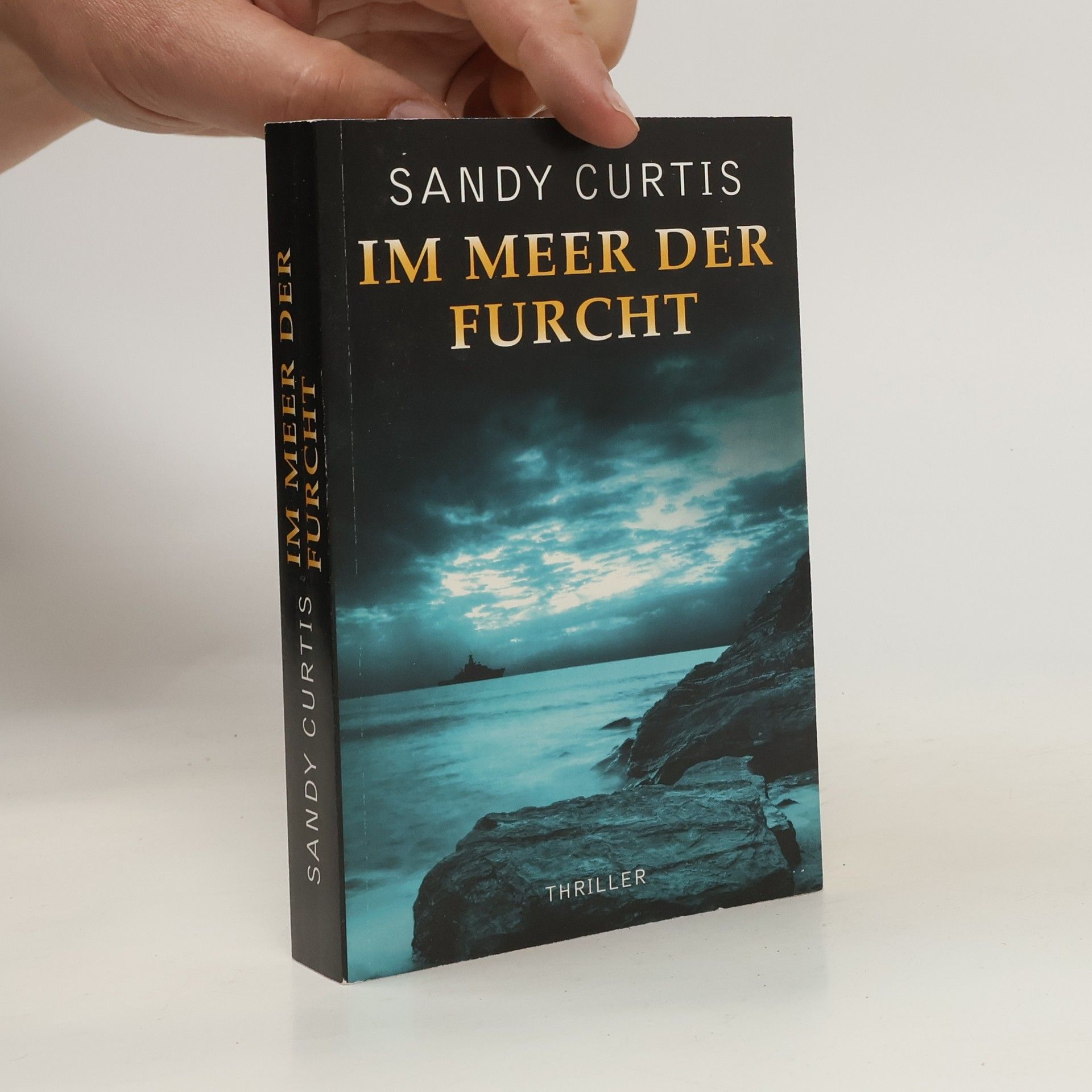 Sandy Curtis Im Meer der Furcht