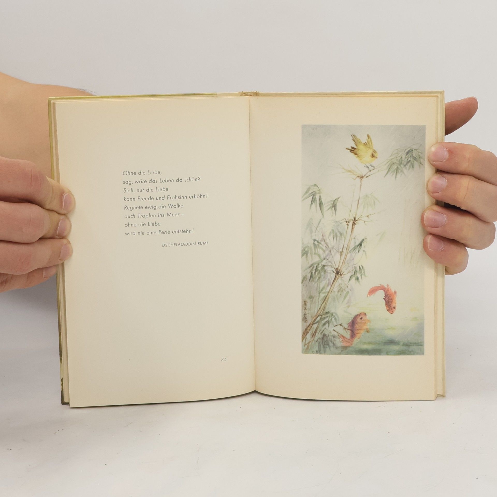Auteurscollectief Kirschblüte und Nachtigall
