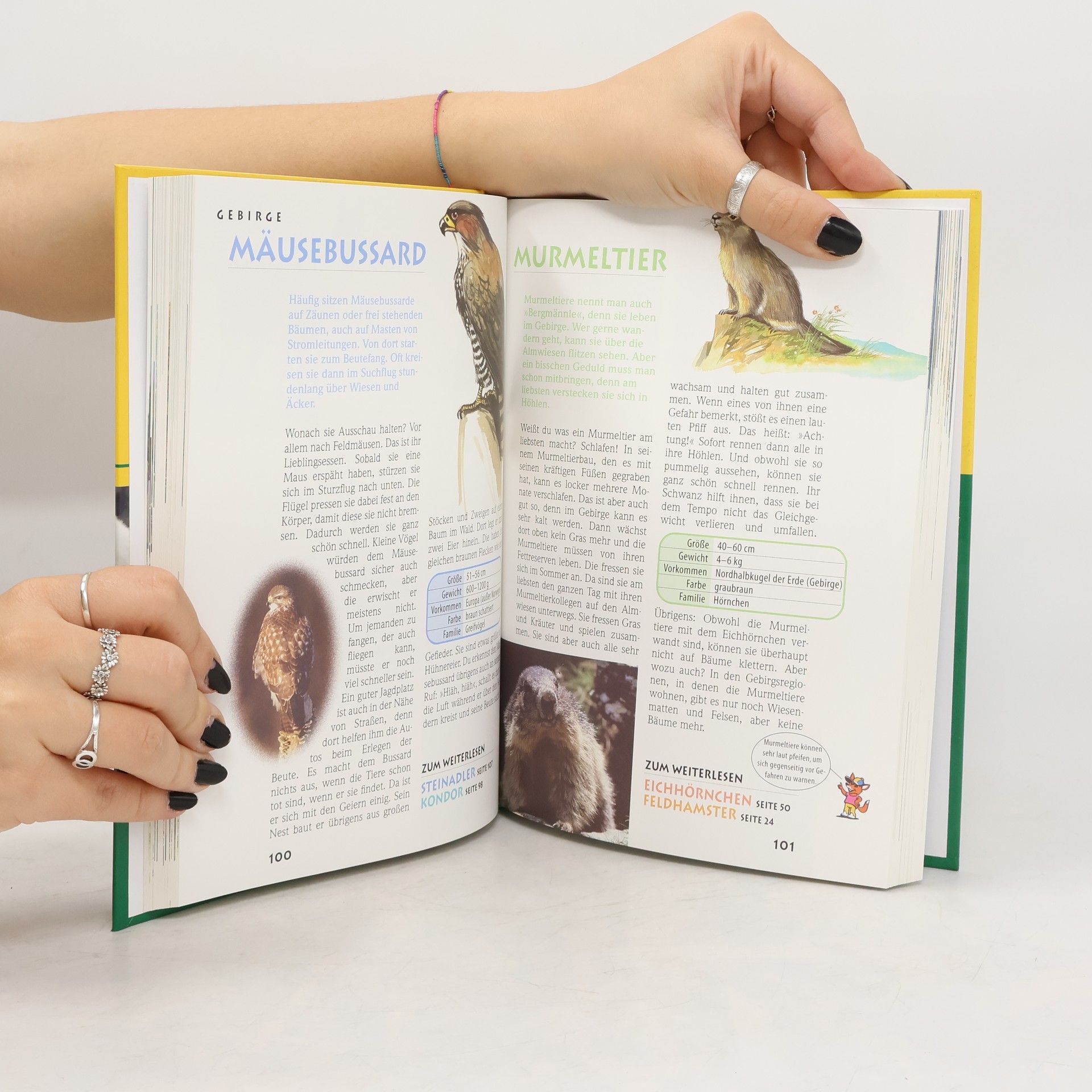 Collectif d'auteurs Tierlexikon von A-Z