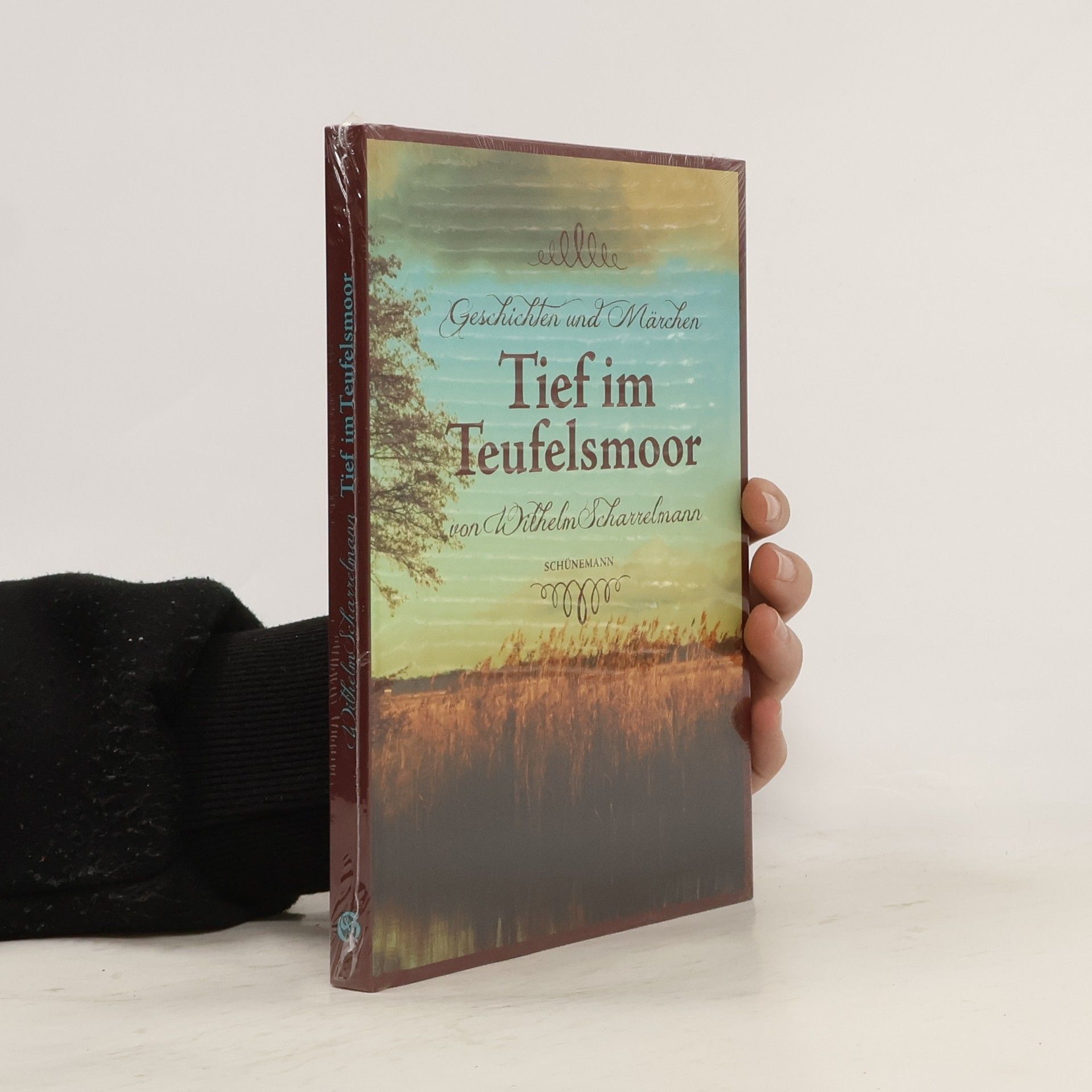 Wilhelm Scharrelmann Tief im Teufelsmoor