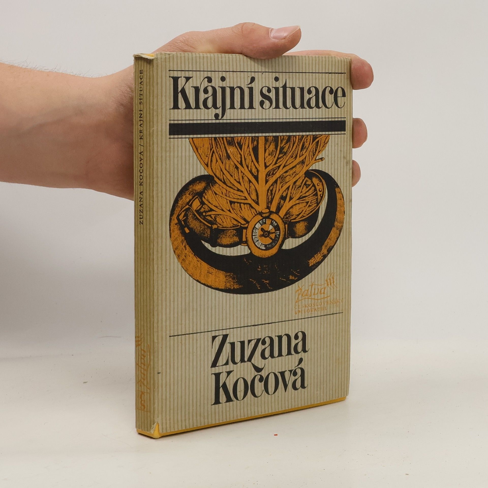 Zuzana Kočová Krajní situace