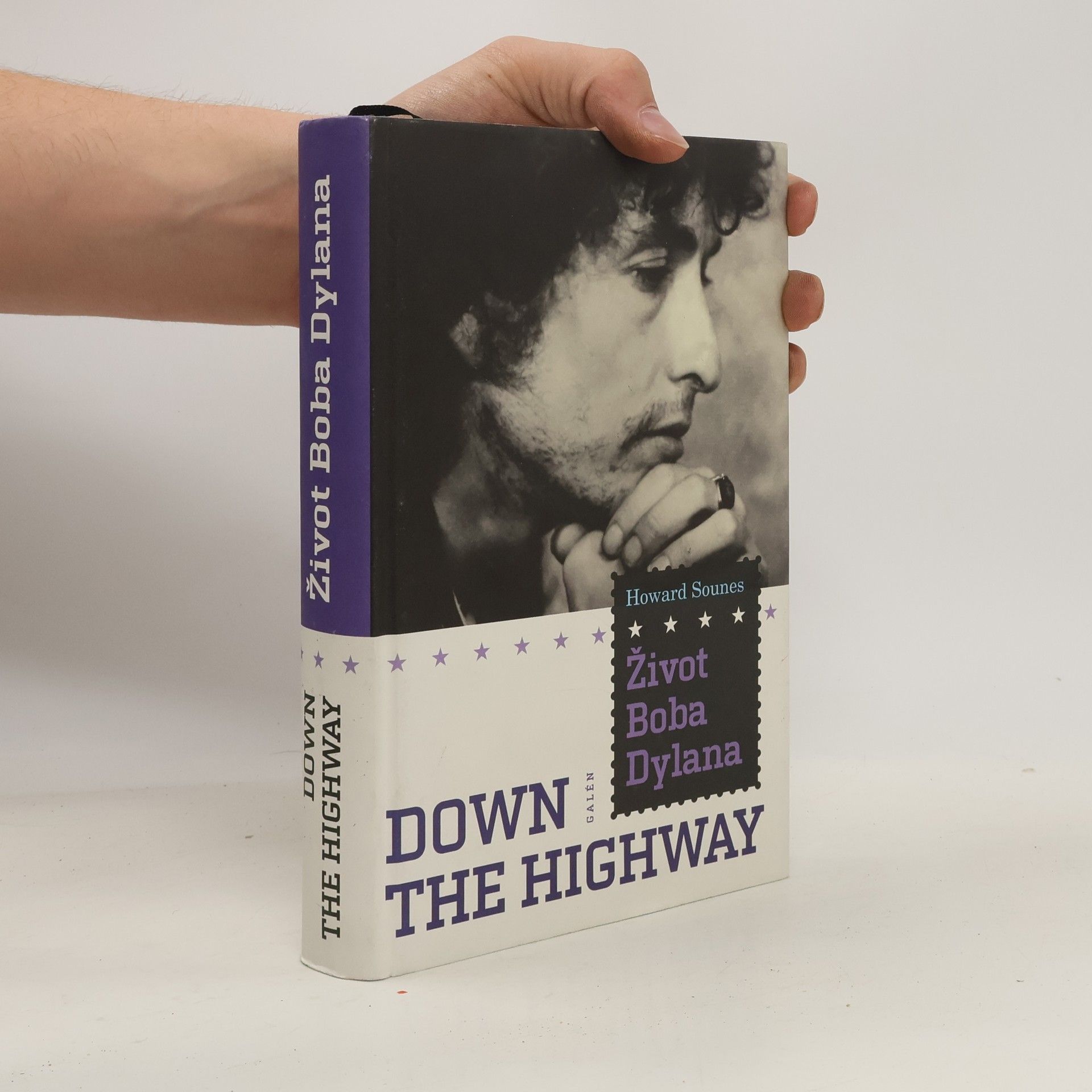 Howard Sounes Down The Highway : Život Boba Dylana