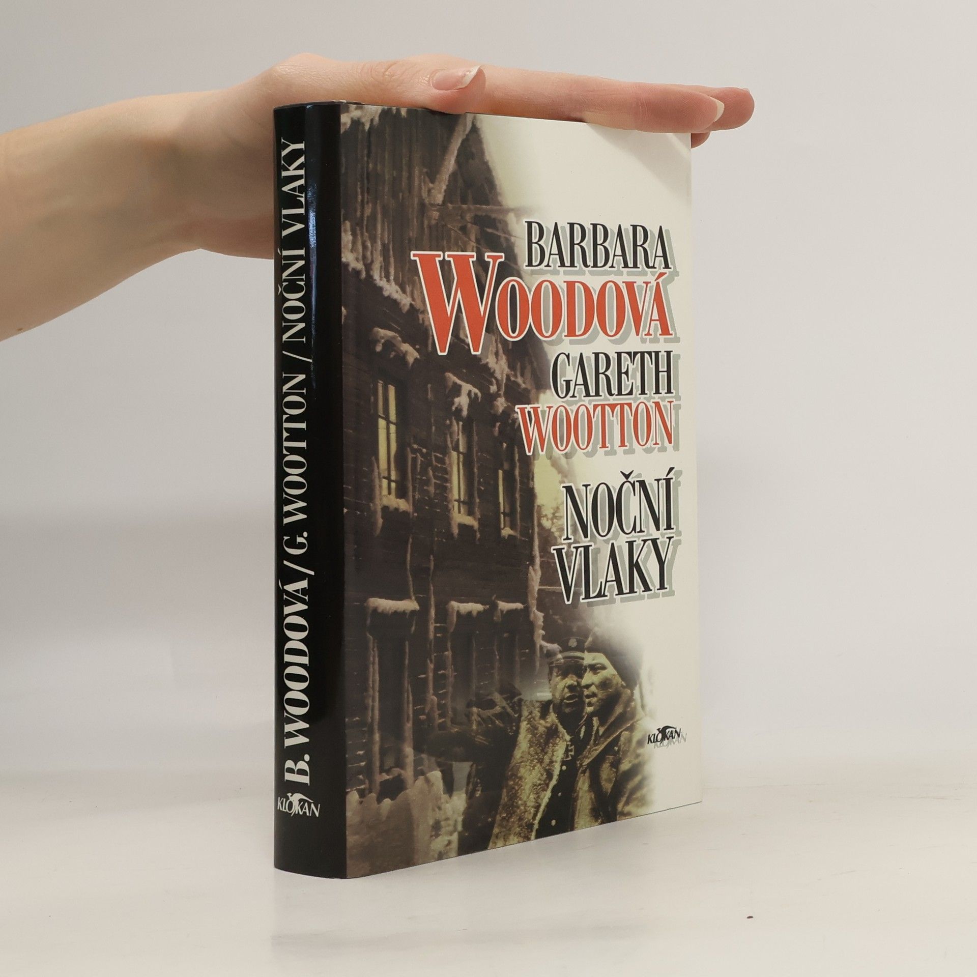 Barbara Wood Noční vlaky