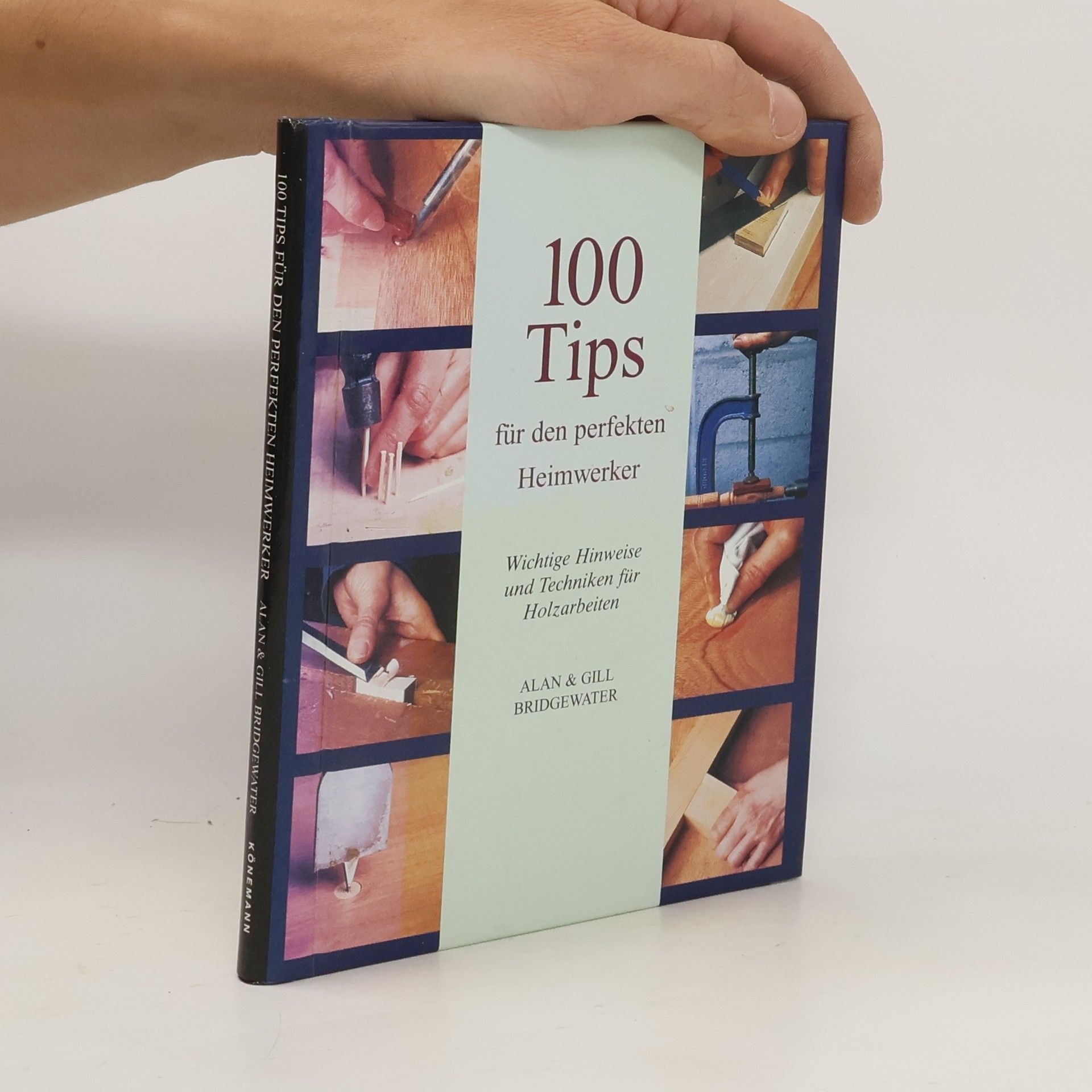 Alan Bridgewater 100 Tips für den perfekten Heimwerker