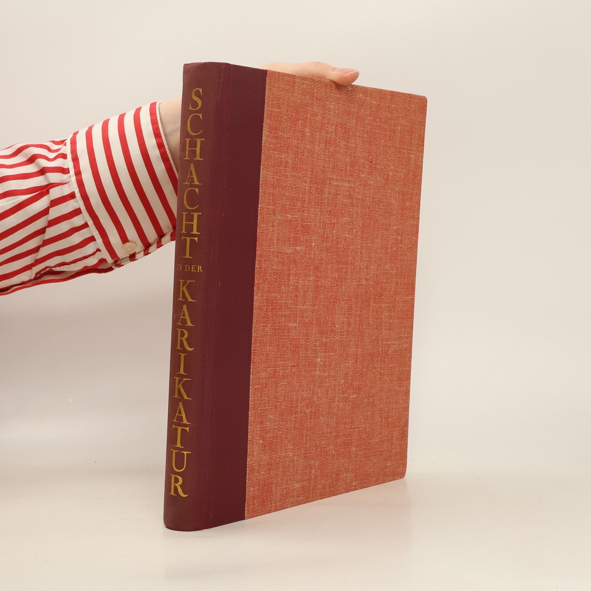 Collectif d'auteurs Schacht in der Karikatur