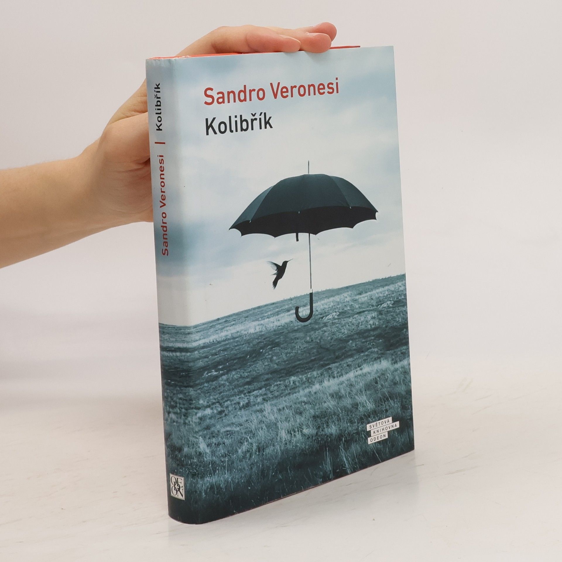 Sandro Veronesi Kolibřík