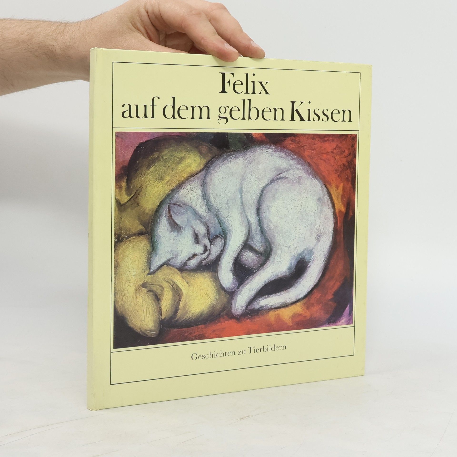 kolektiv Felix auf dem gelben Kissen