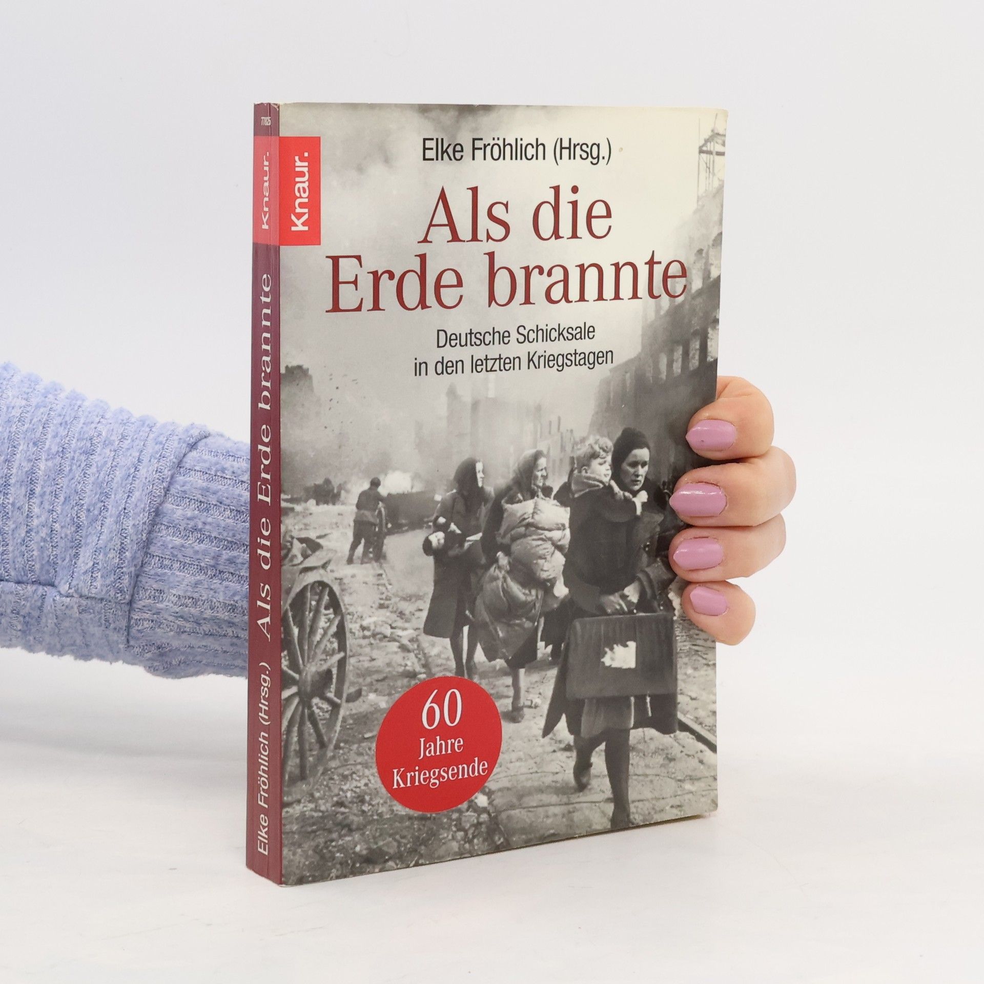 Elke Fröhlich Als die Erde brannte