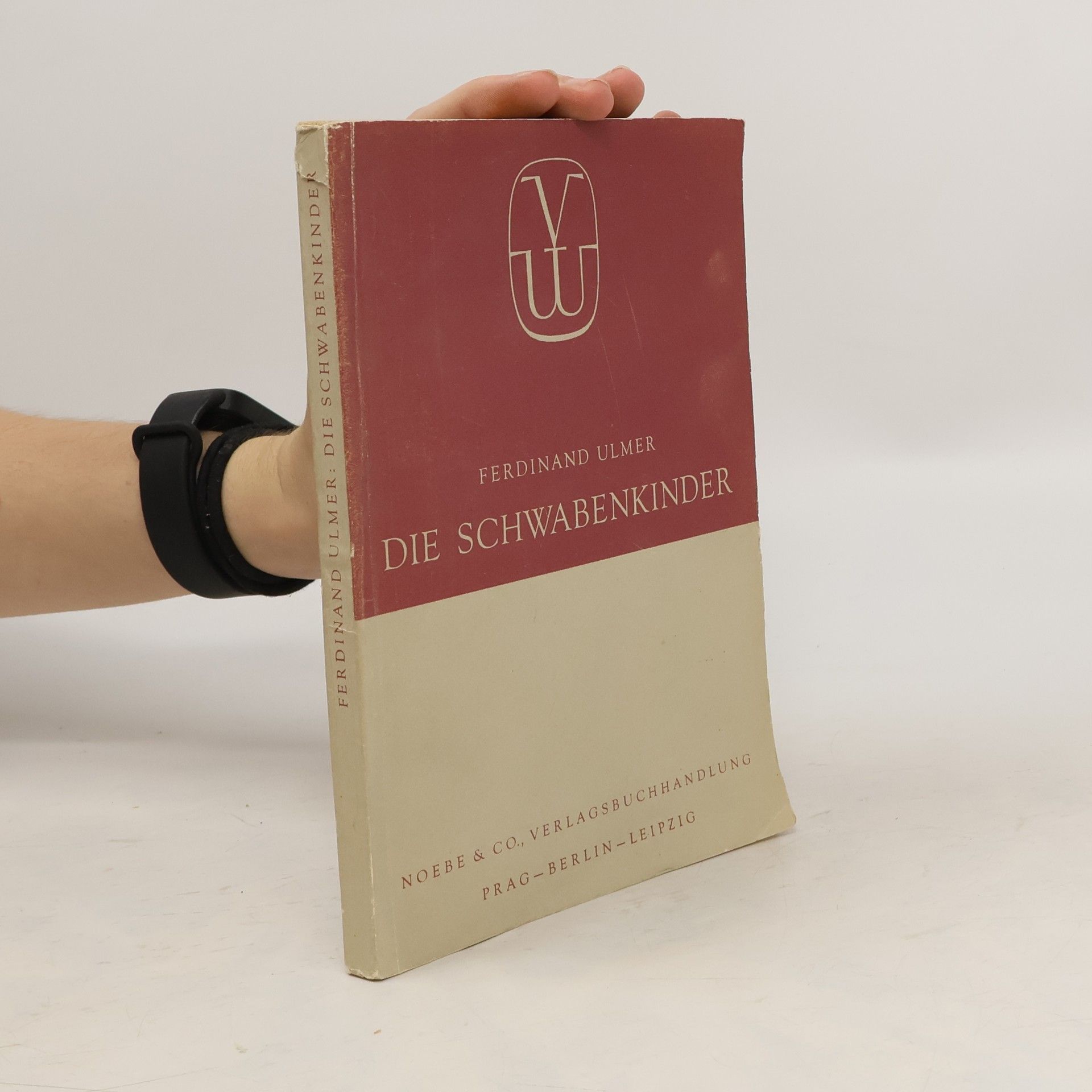 Ferdinand Ulmer Die Schwabenkinder