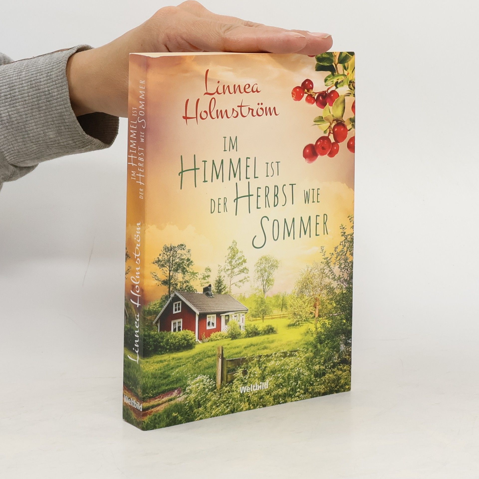 Linnea Holmström Im Himmel ist der Herbst wie Sommer