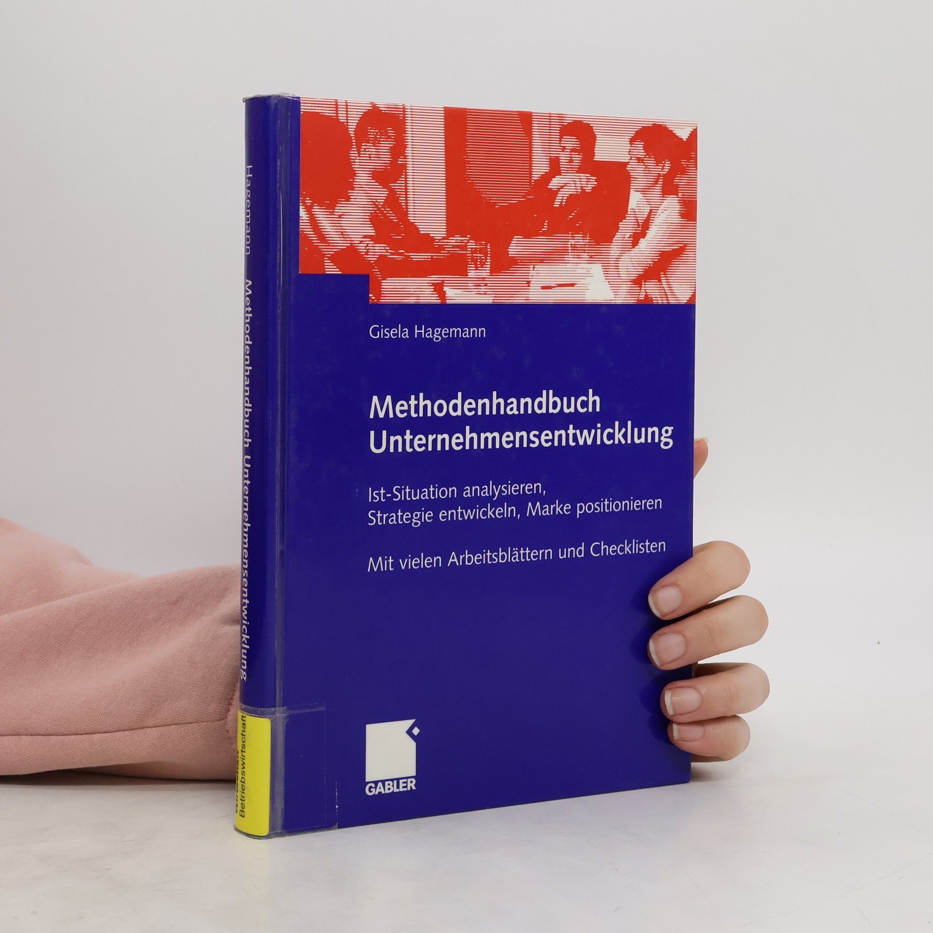 Gisela Hagemann Methodenhandbuch Unternehmensentwicklung