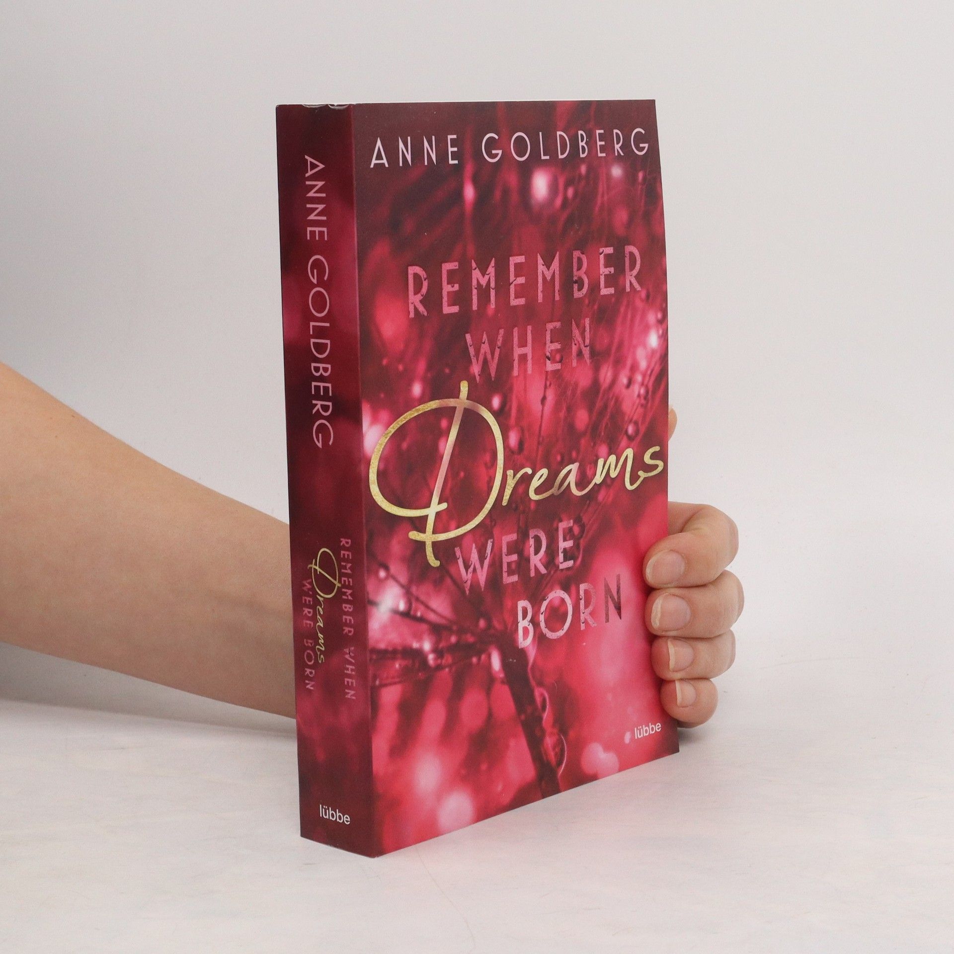 Anne Goldberg Remember when Dreams were born