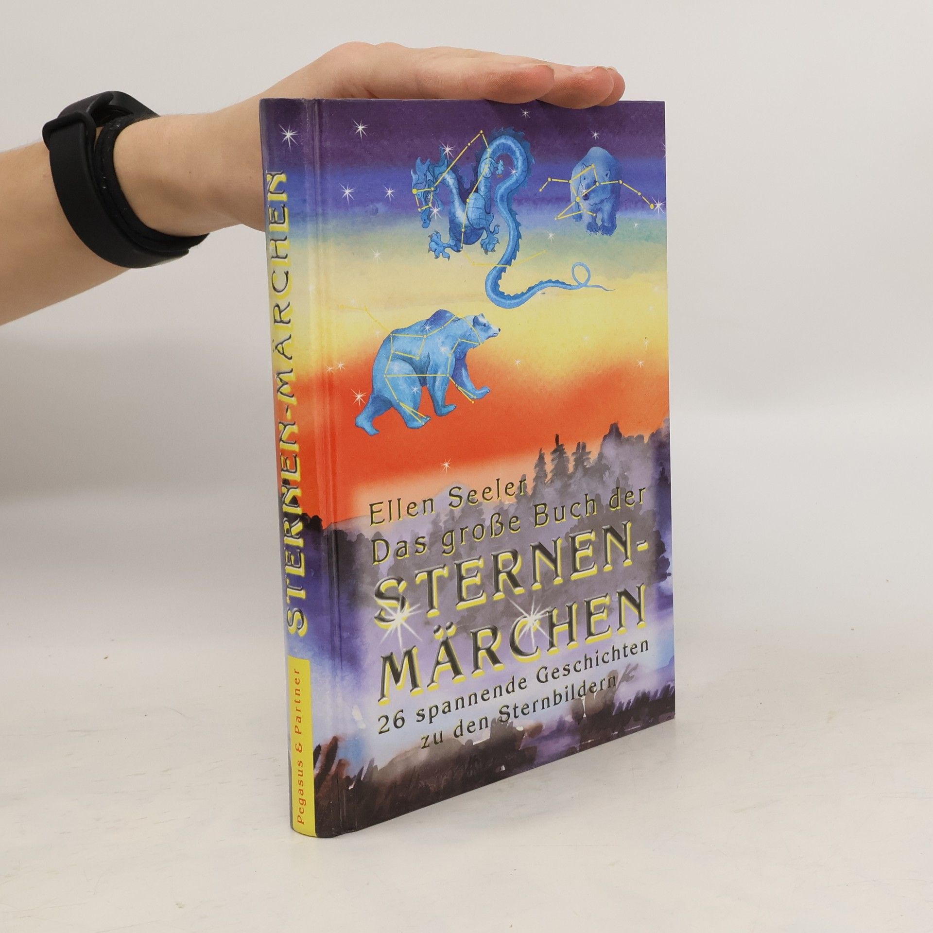 Ellen Seeler Das Große Buch der Sternenmärchen