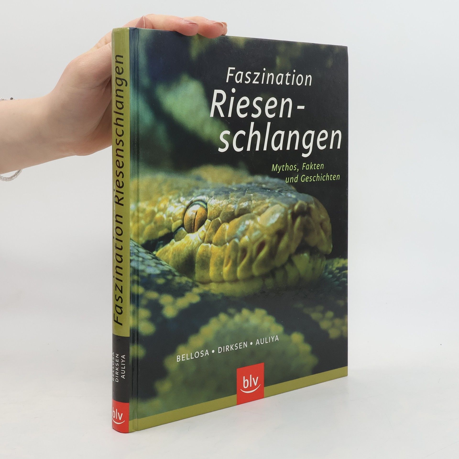 Henry Bellosa Faszination Riesenschlangen