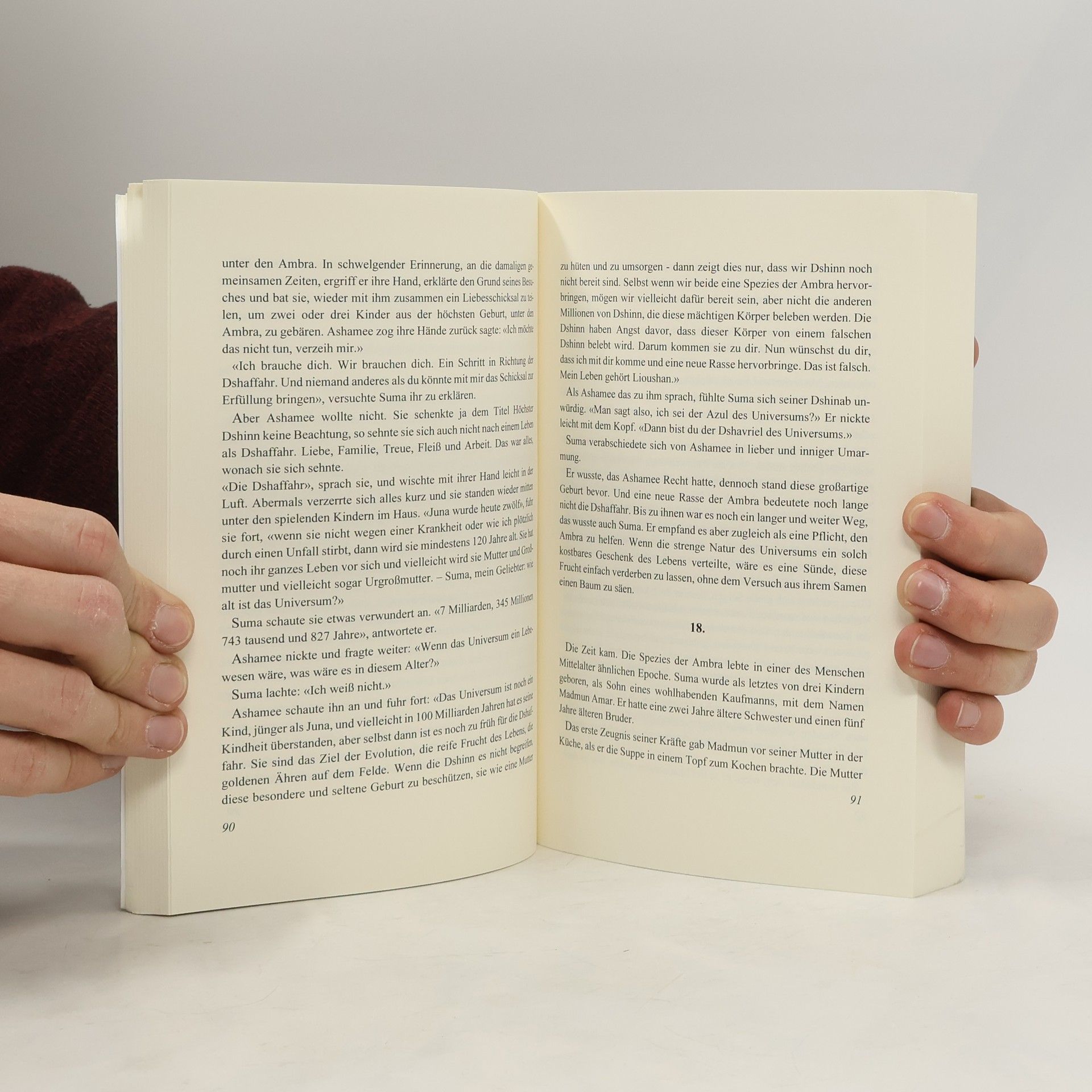 Zimmermann Jacob Das Buch Ahab