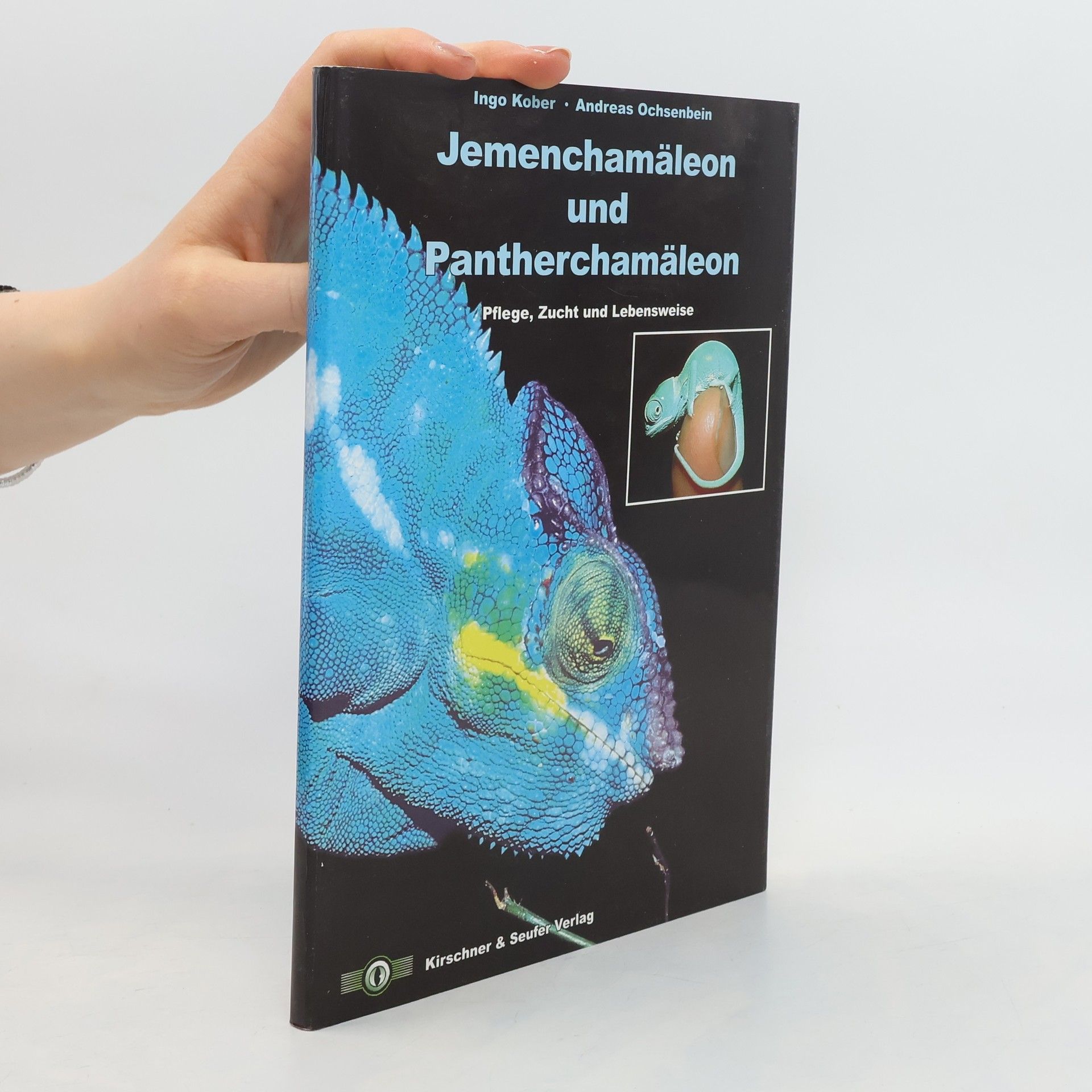 Ingo Kober Jemenchamäleon und Pantherchamäleon